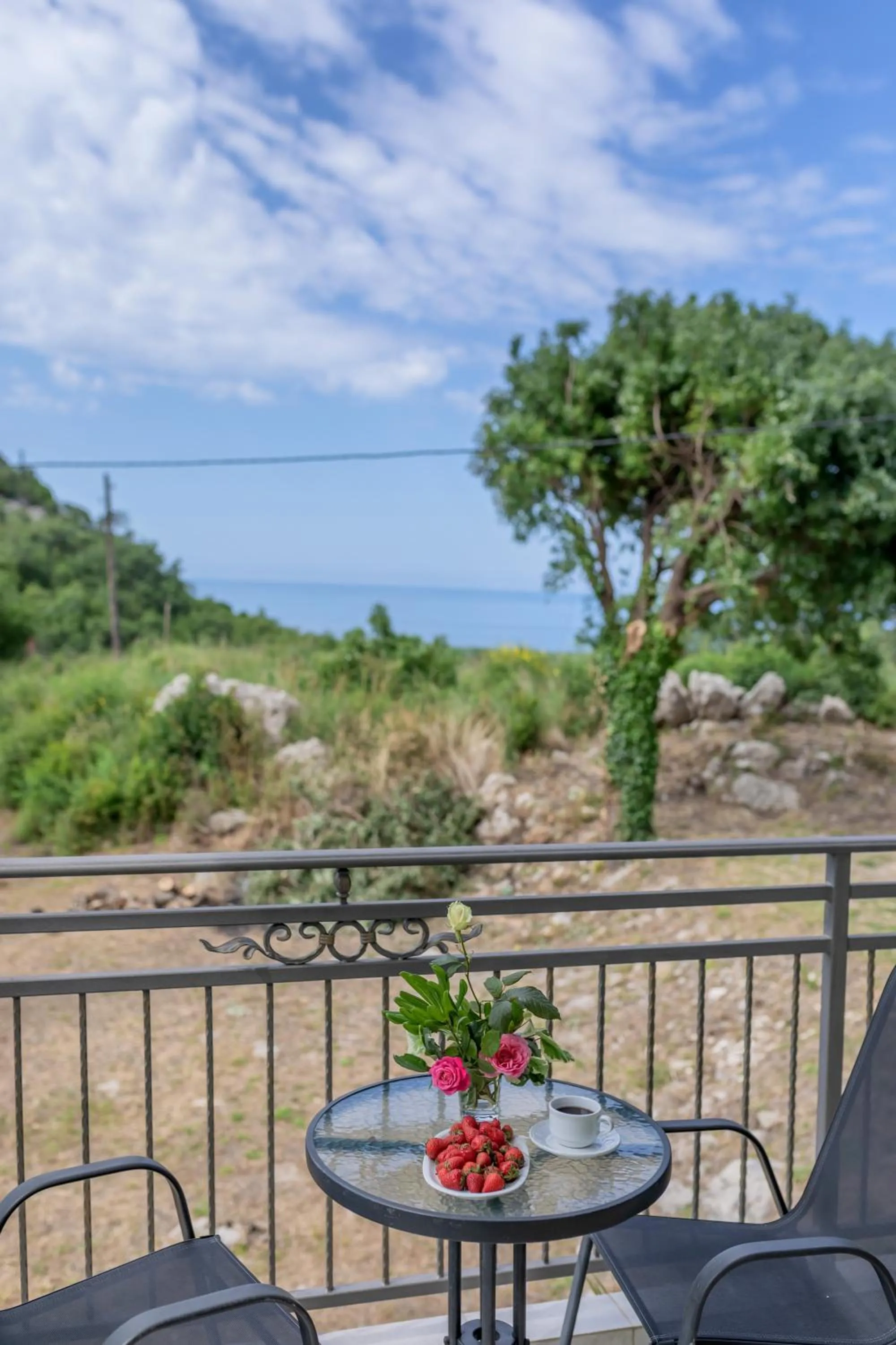 Natural landscape in Villa Montenegrina