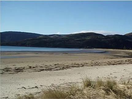 Beach in The Carradale Hotel