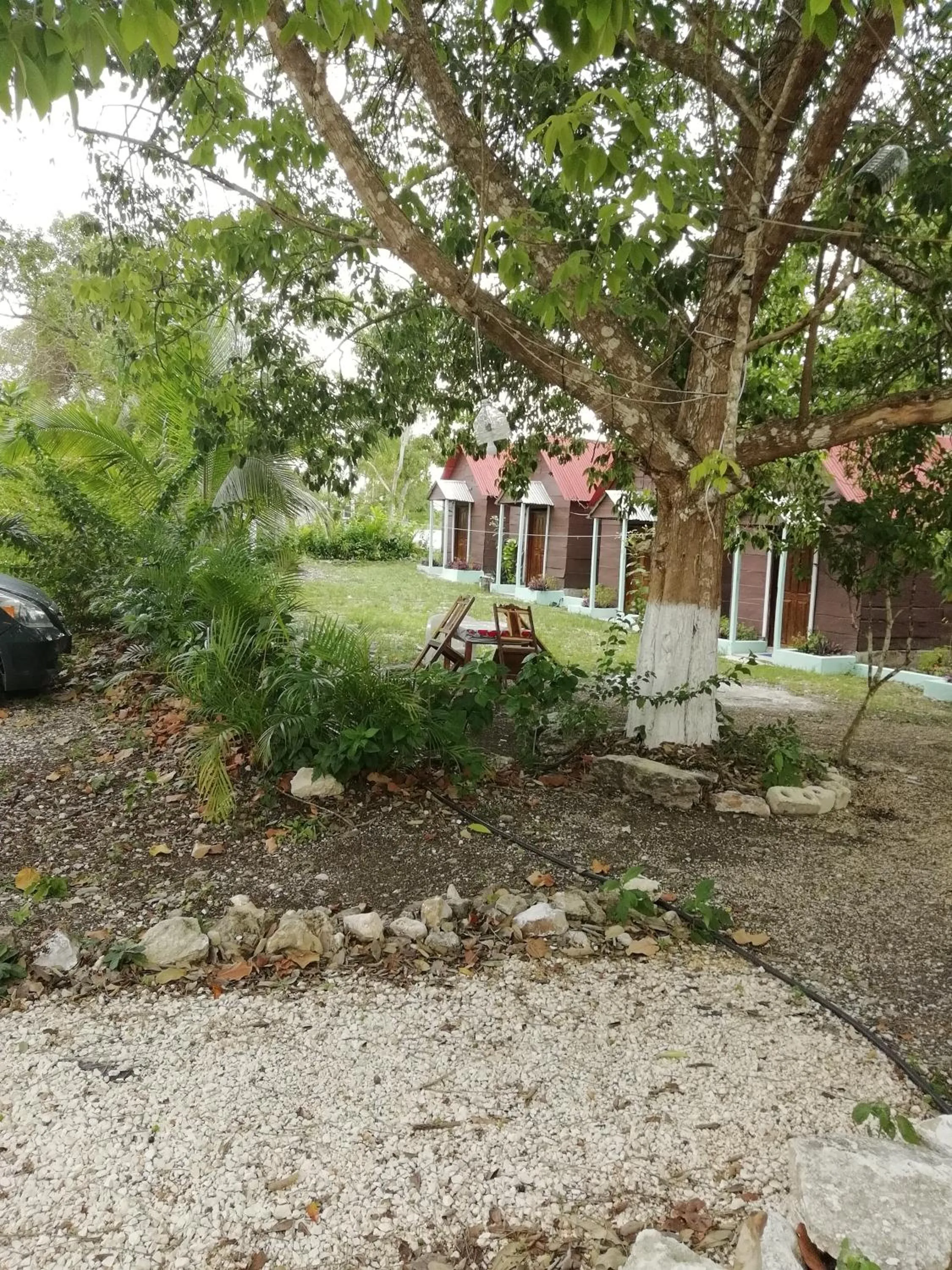 Cabanas chaac Calakmul