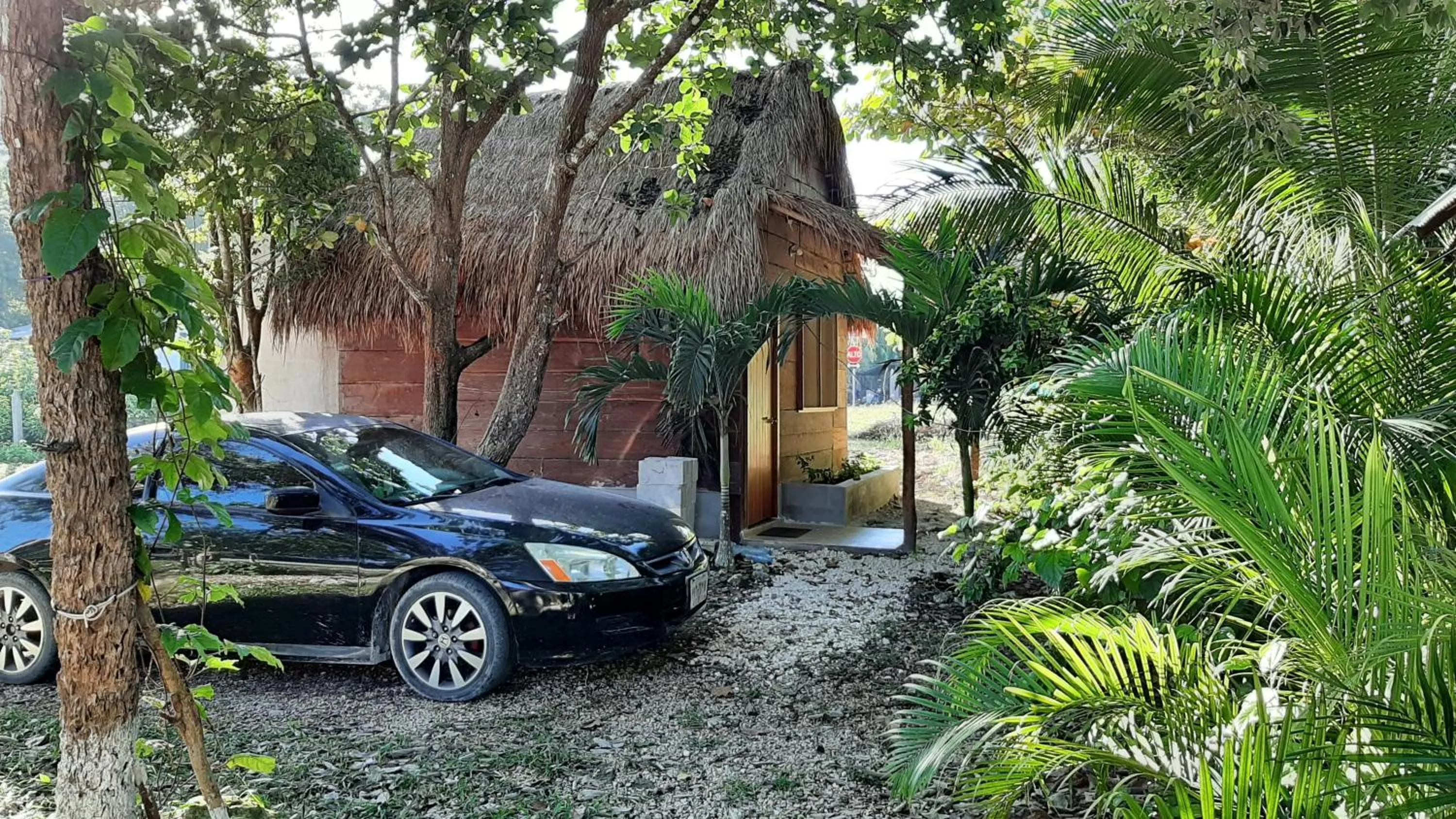 Cabanas chaac Calakmul