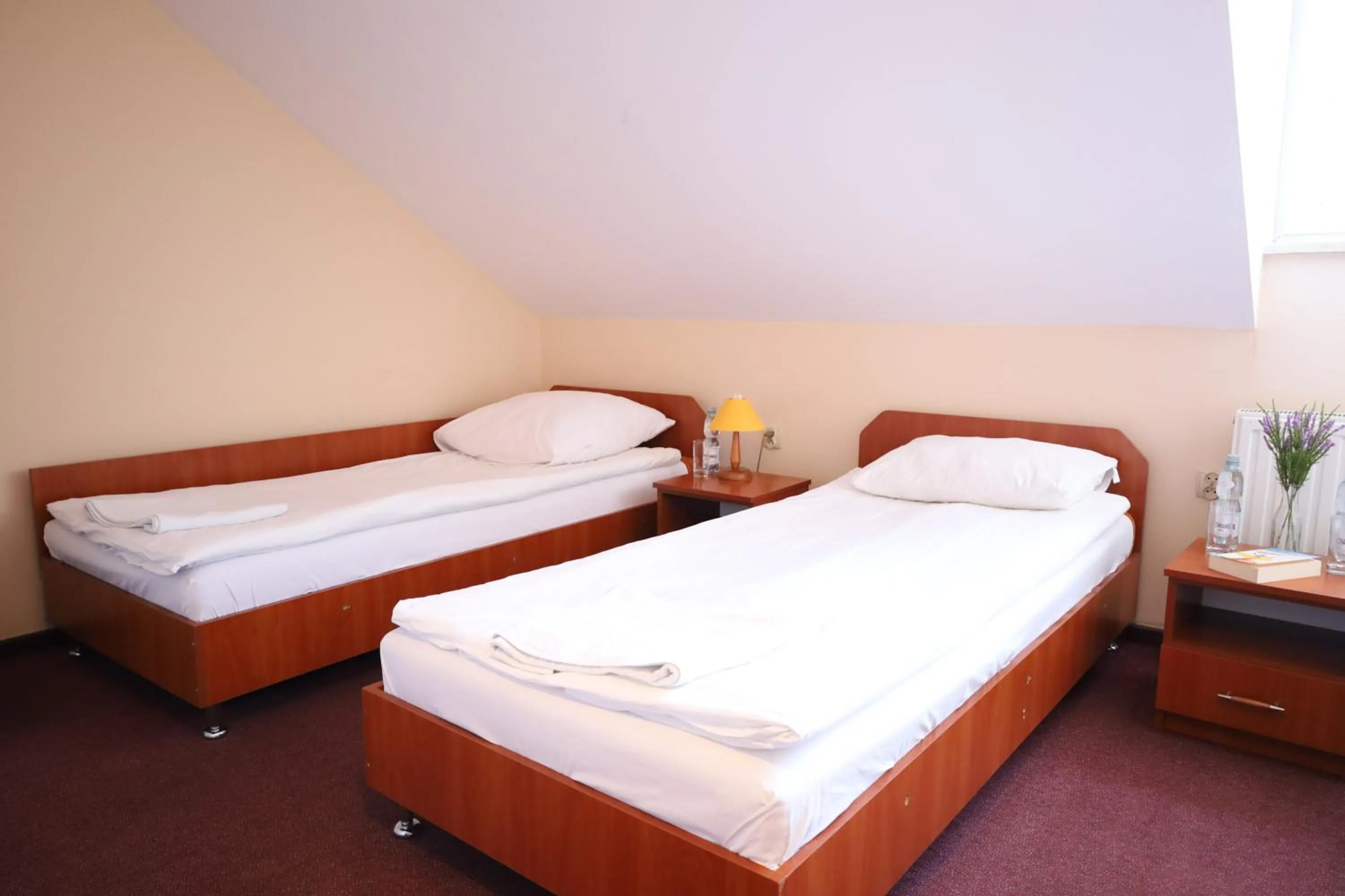 Bed in Zakarczmie Stokrotka