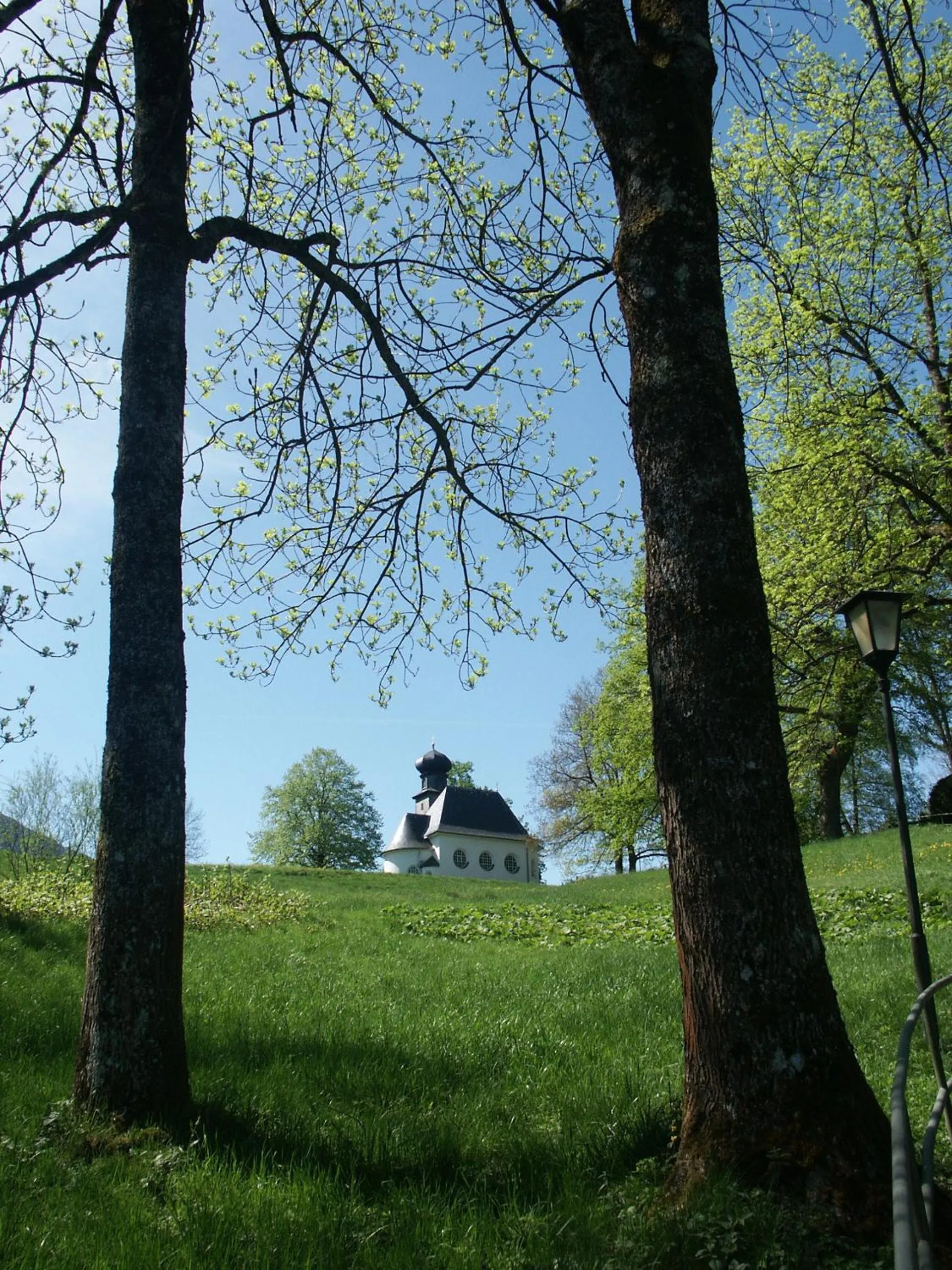 Natural landscape in Hotel Sonnenspitz ***