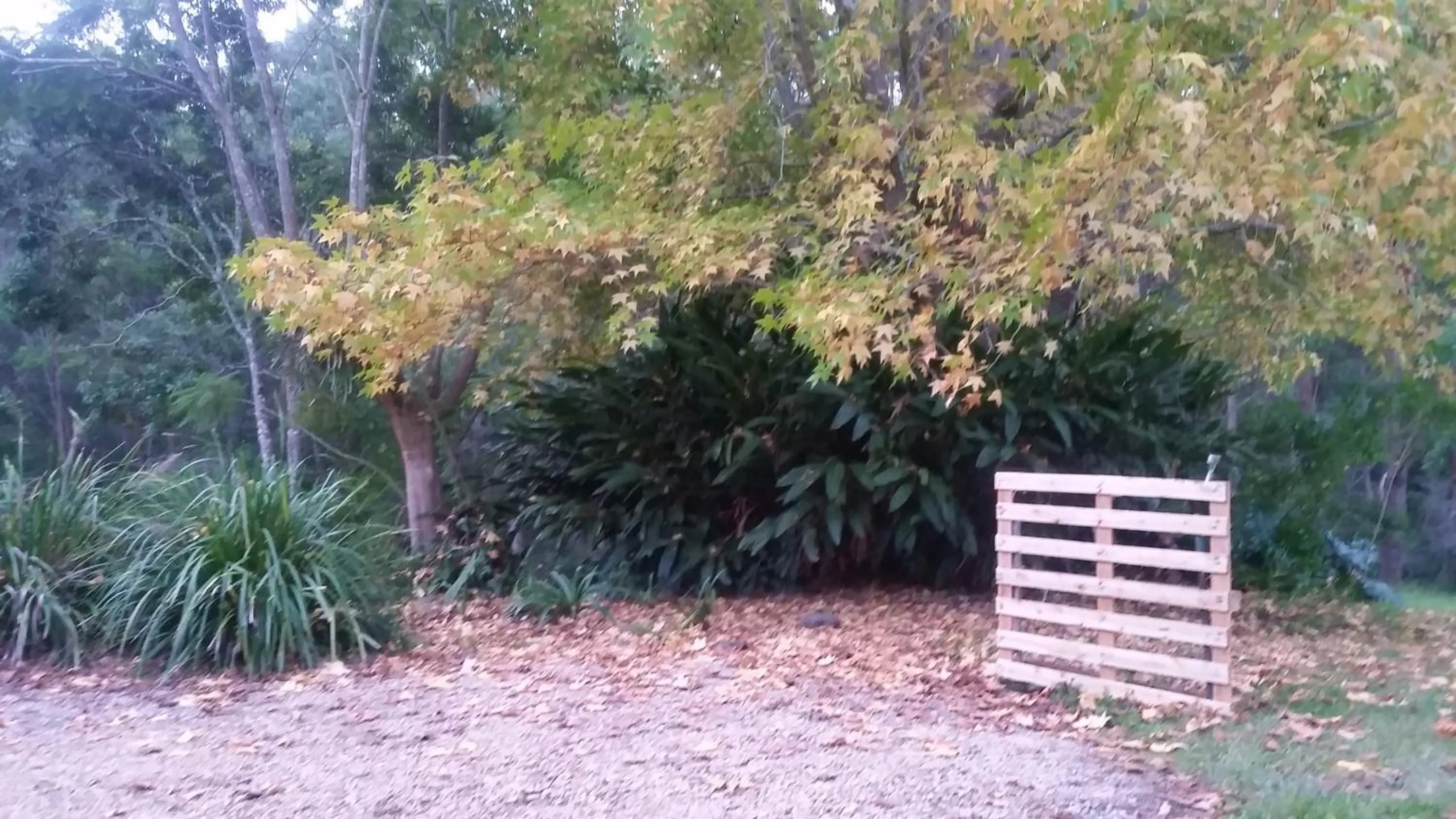 Inner courtyard view in Forest view bungalow