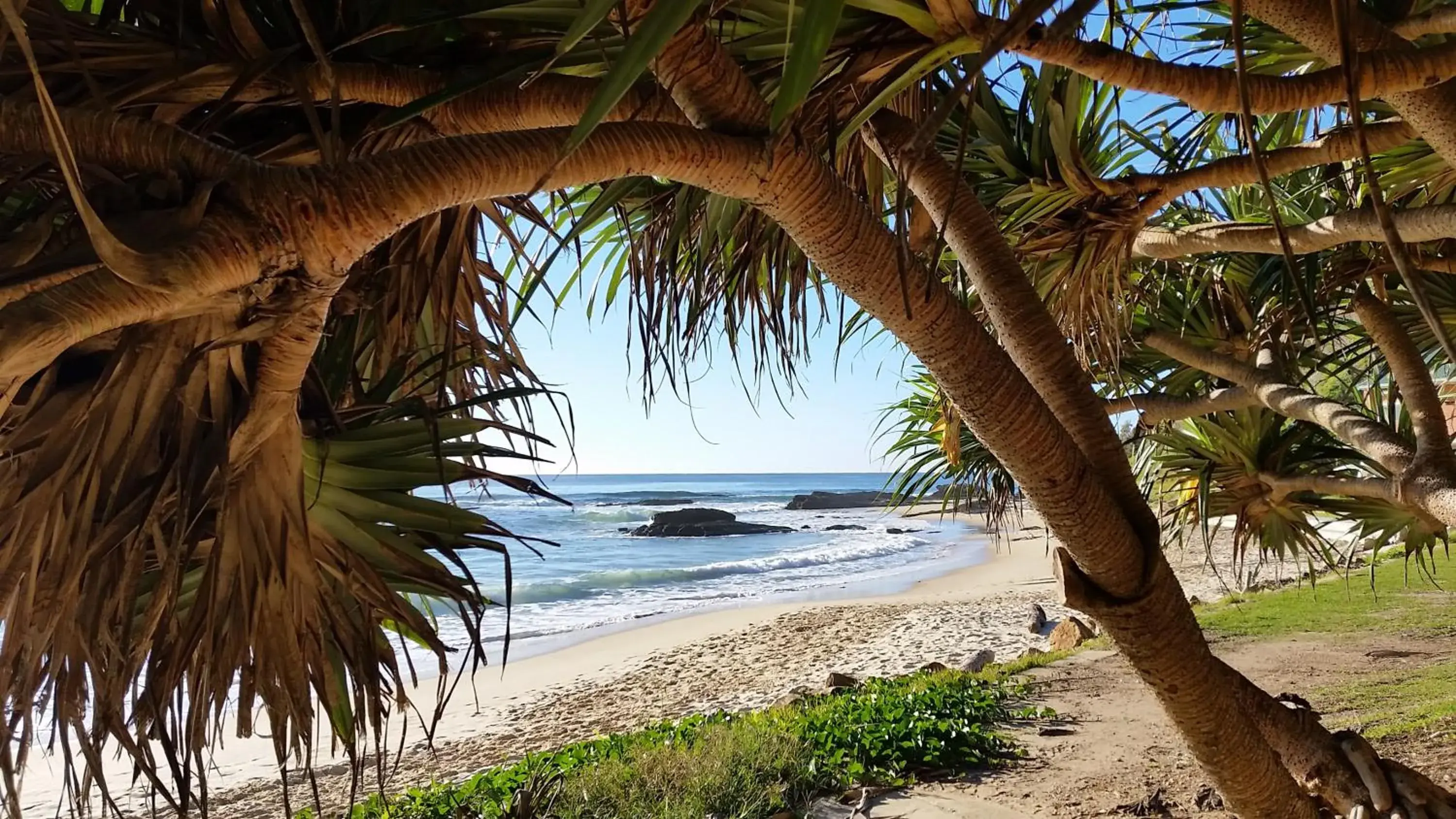 Deluxe Queen Room in Forest view bungalow Deluxe Queen Room in Forest view bungalow