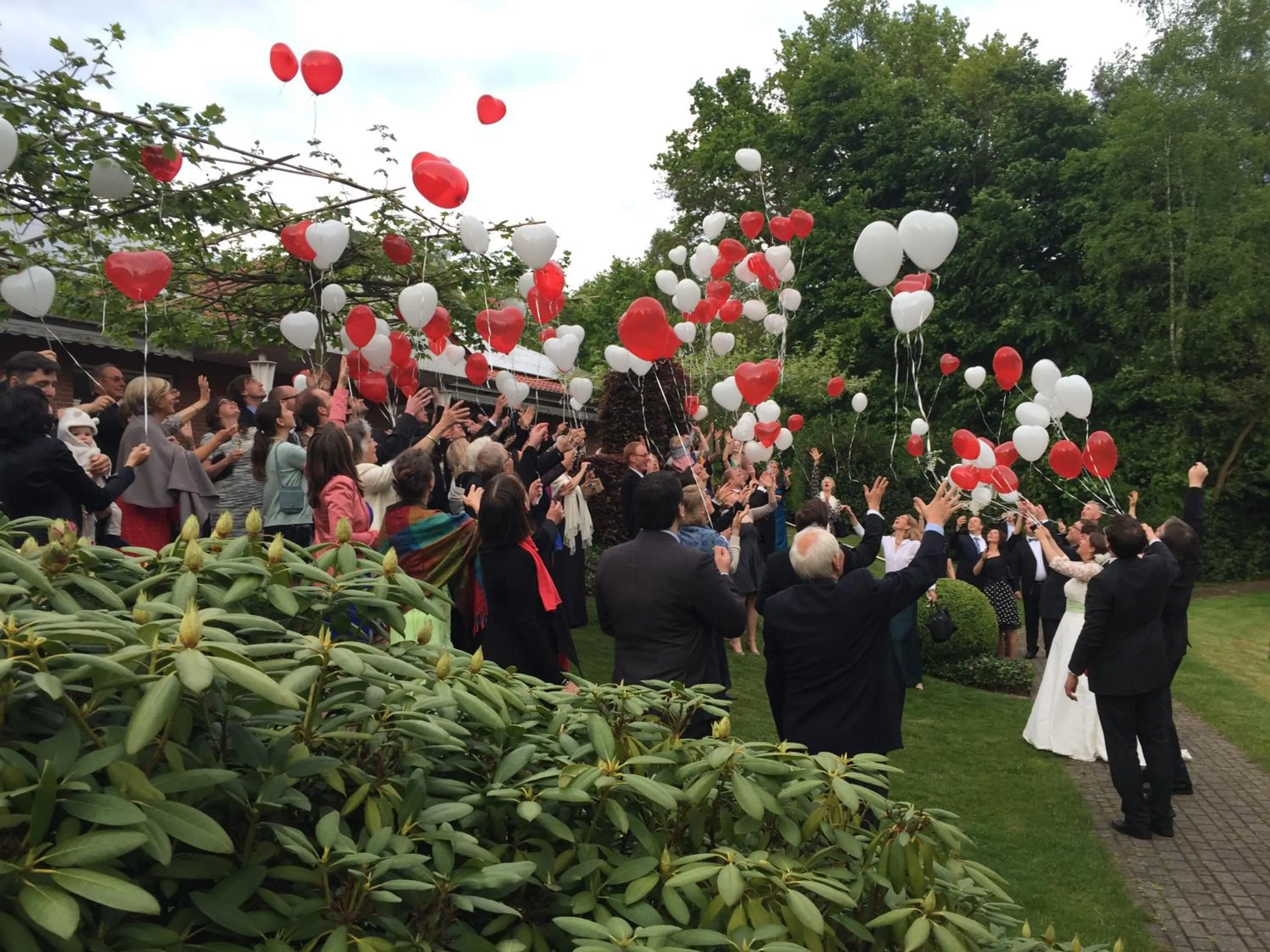 Activities in Hotel Driland