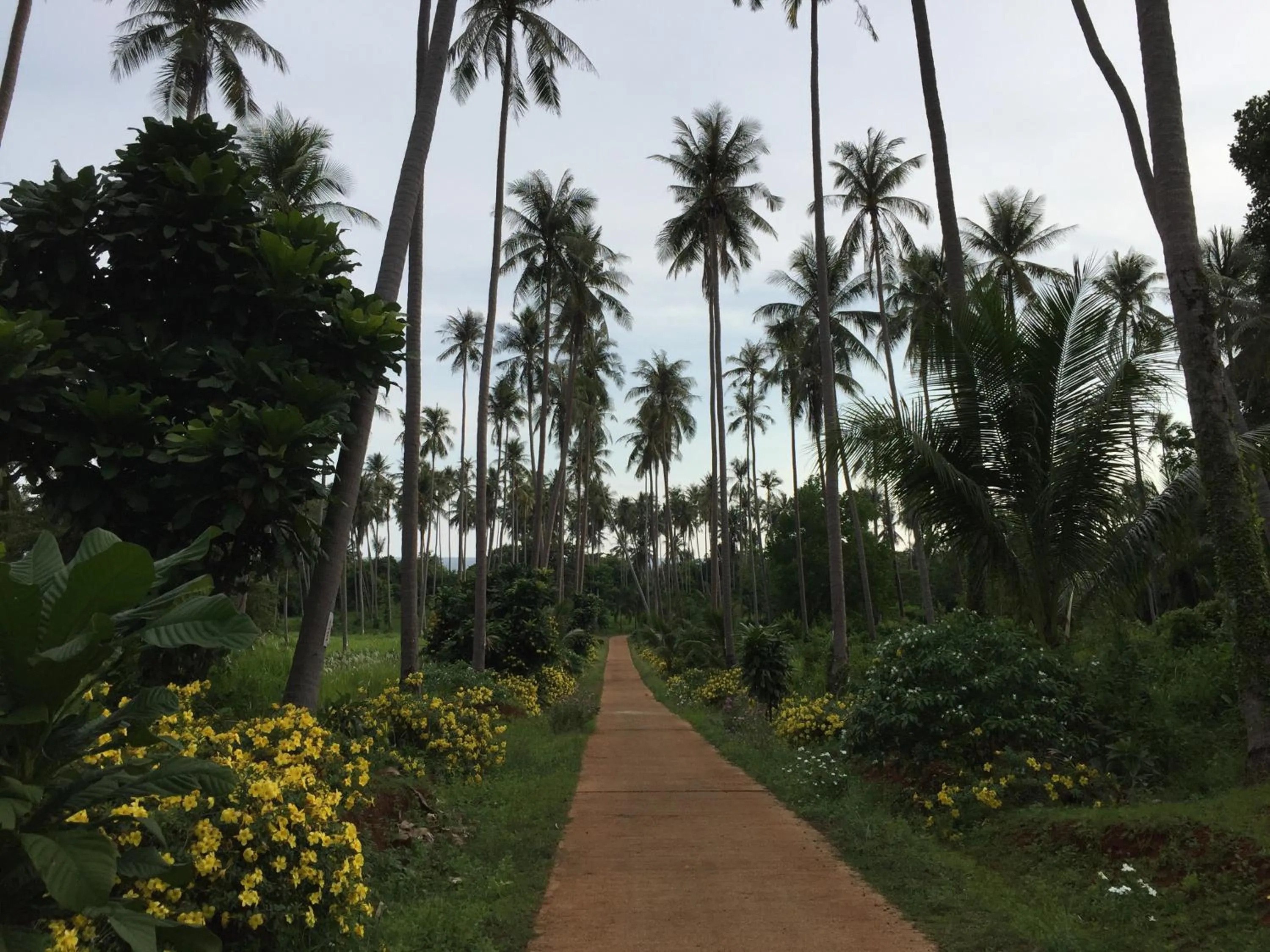 Nearby landmark in Naivacha Tent Koh Mak