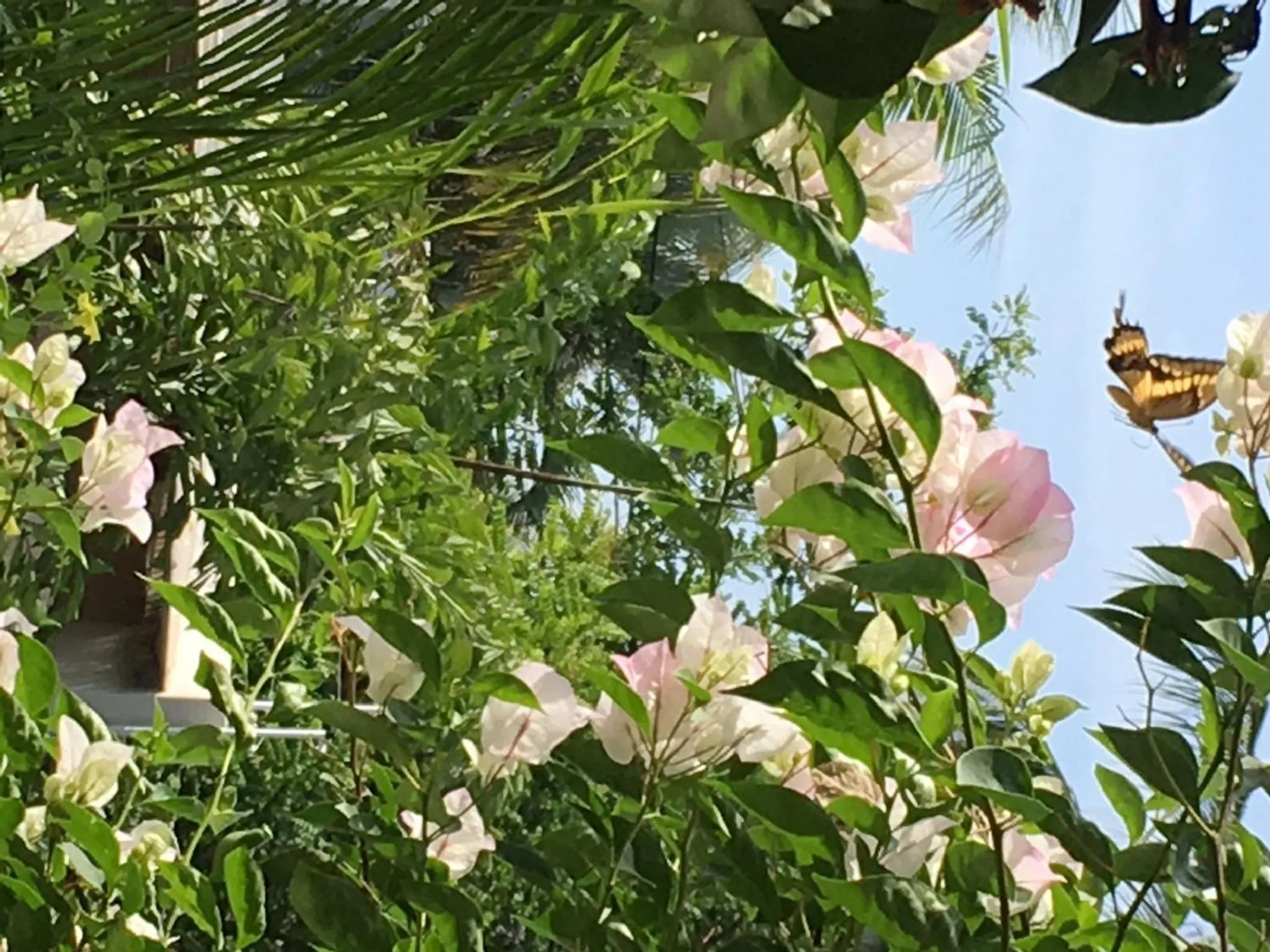 Natural landscape in Villa Maria Bed and Breakfast