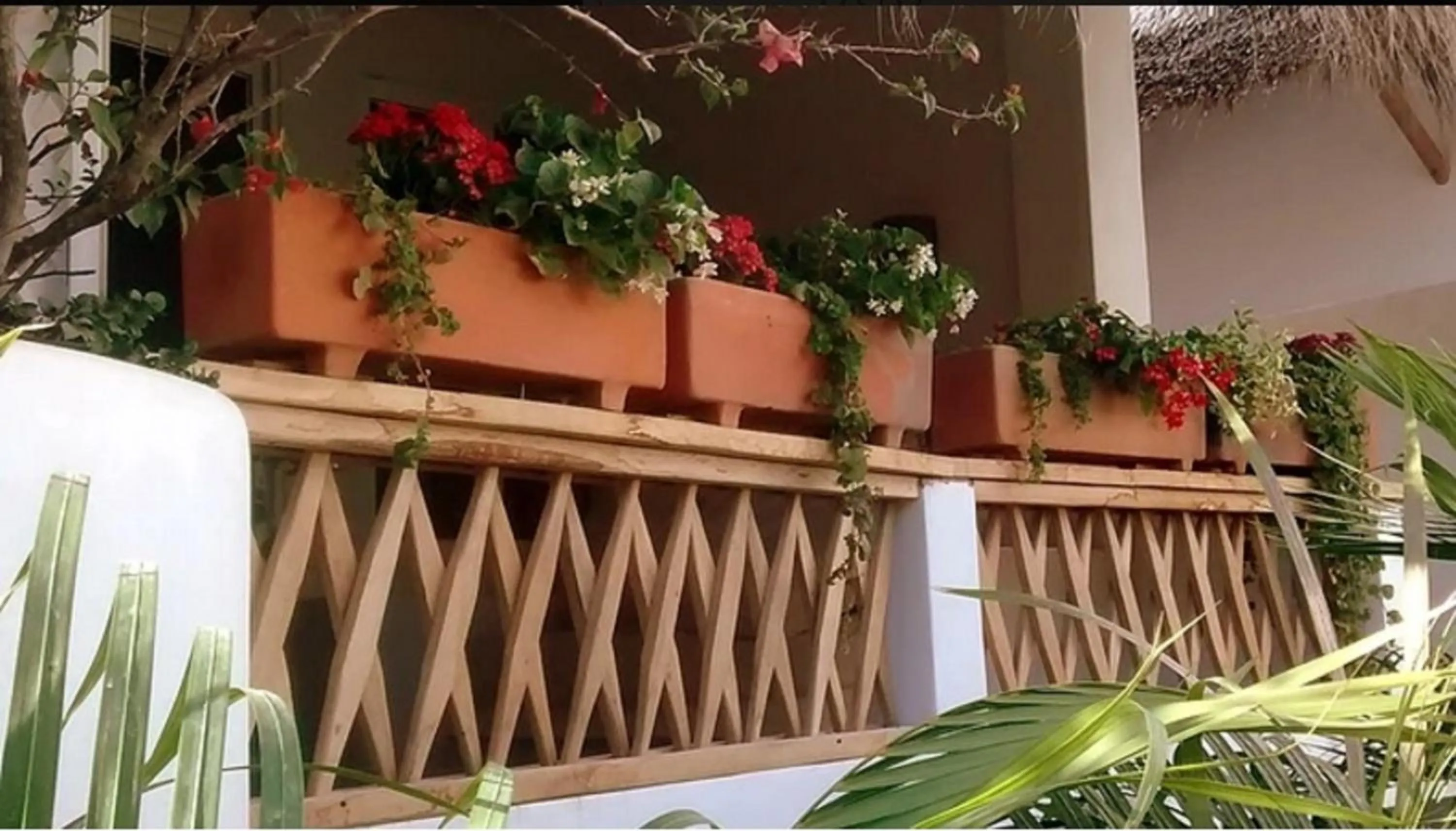 Property building in Villa Maria Bed and Breakfast