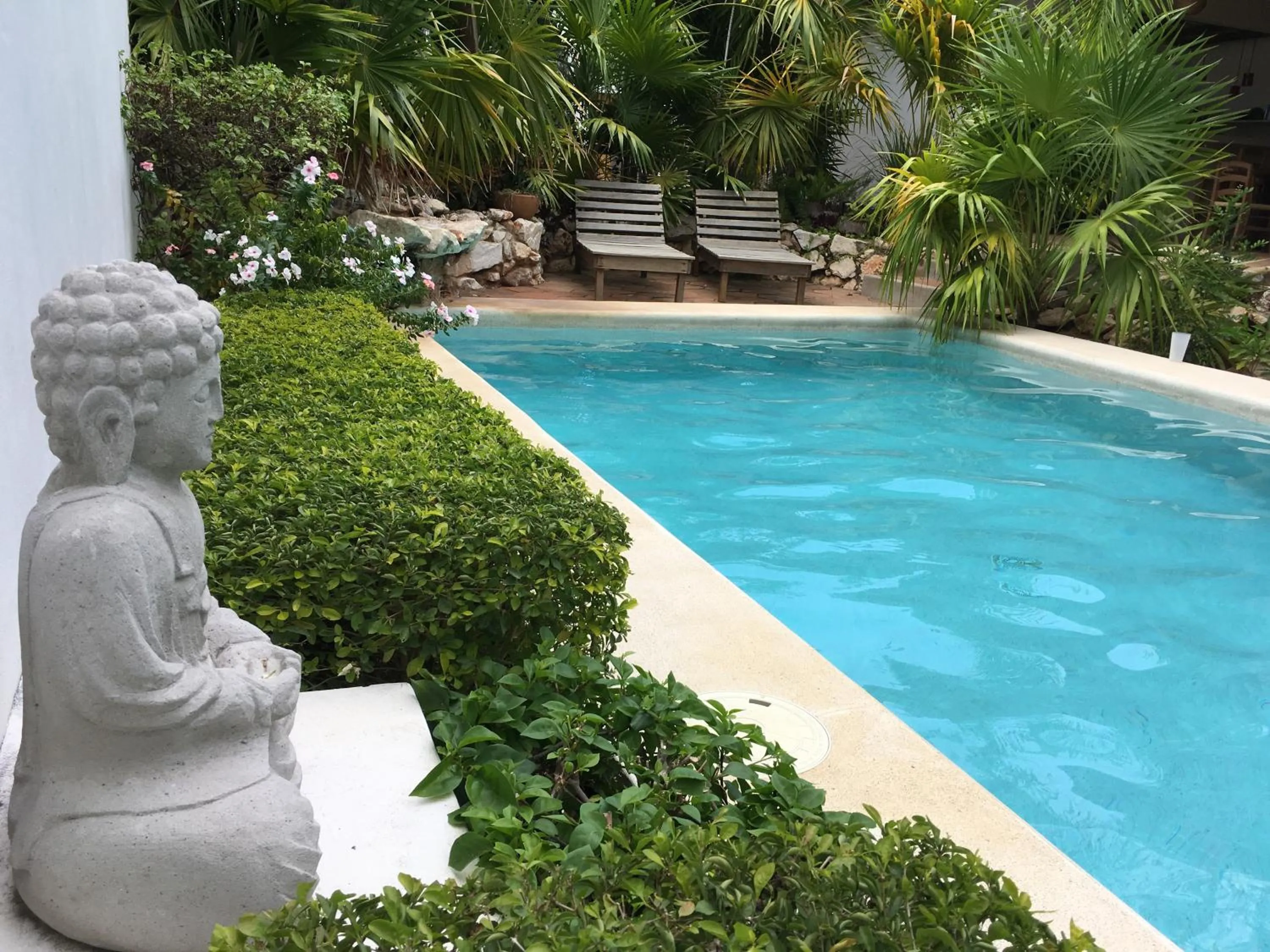 Swimming pool in Villa Maria Bed and Breakfast