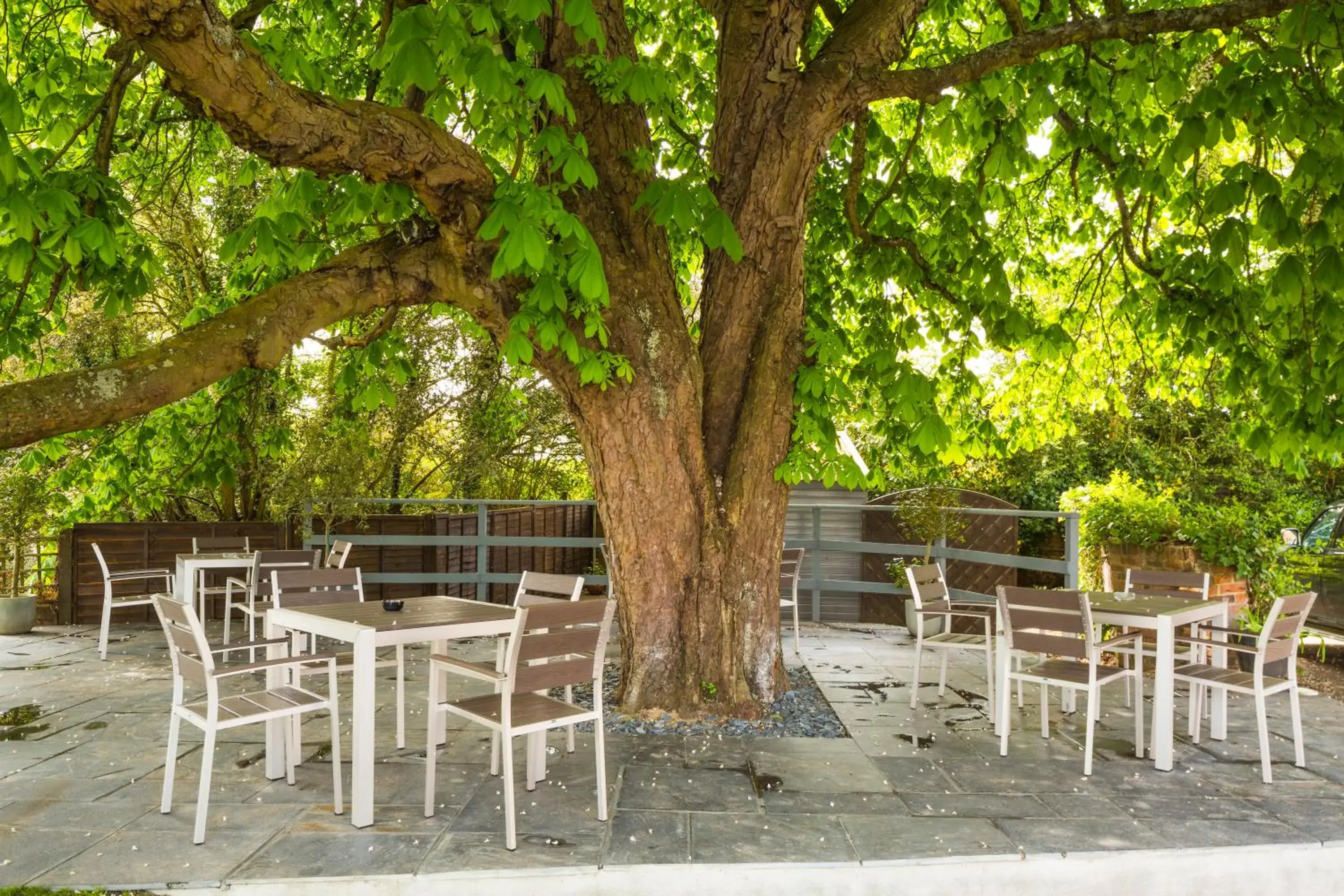 Patio, Patio/Outdoor Area in The Chequers Inn