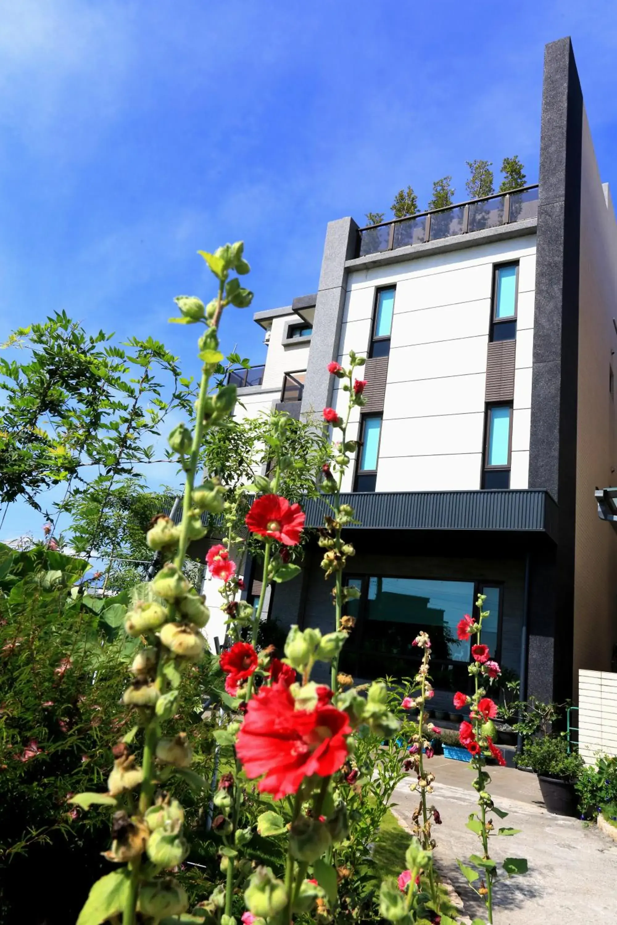 Facade/entrance in Early Summer Facade/entrance in Early Summer