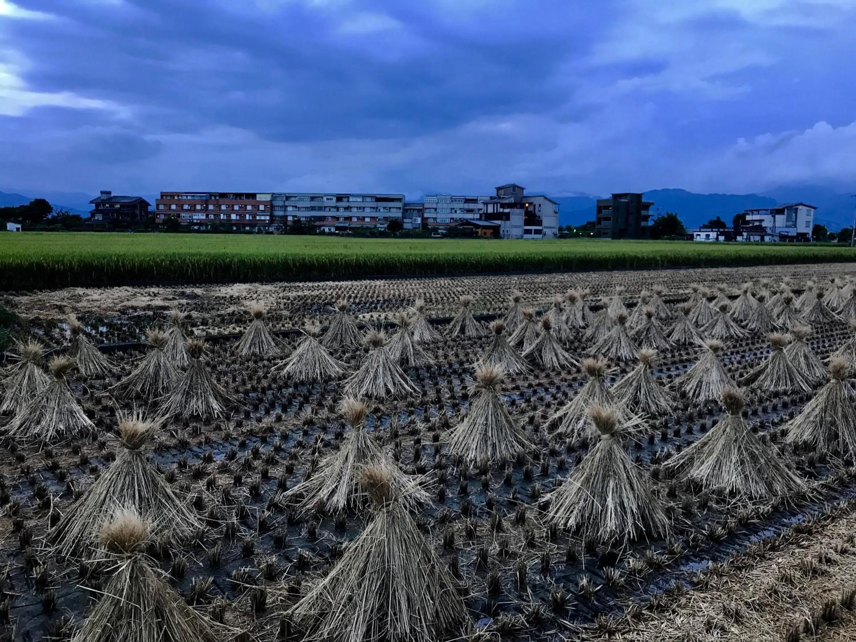 Nearby landmark in Early Summer