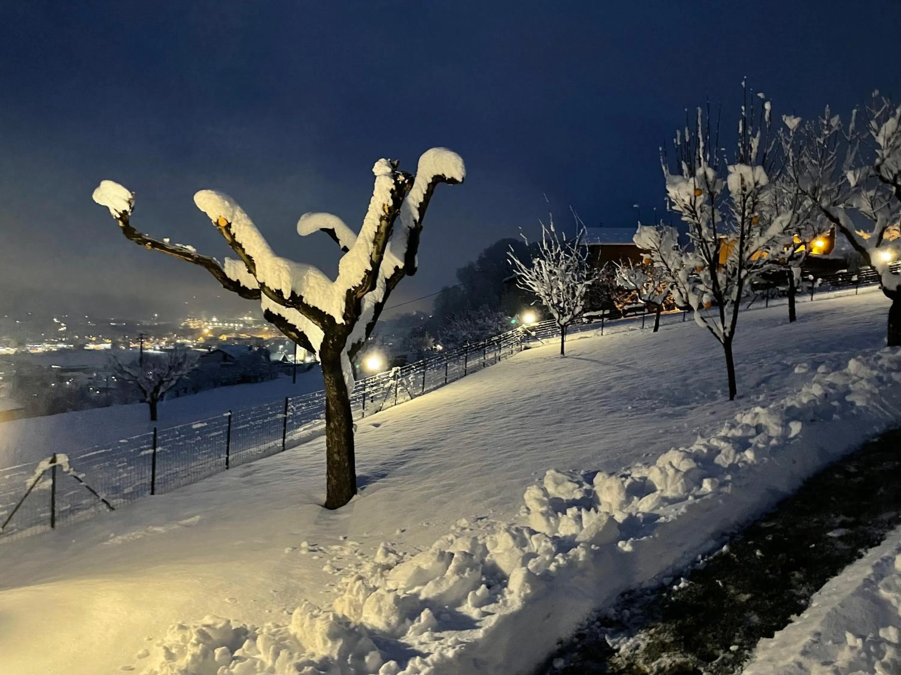 Swimming pool in L'armonia della natura