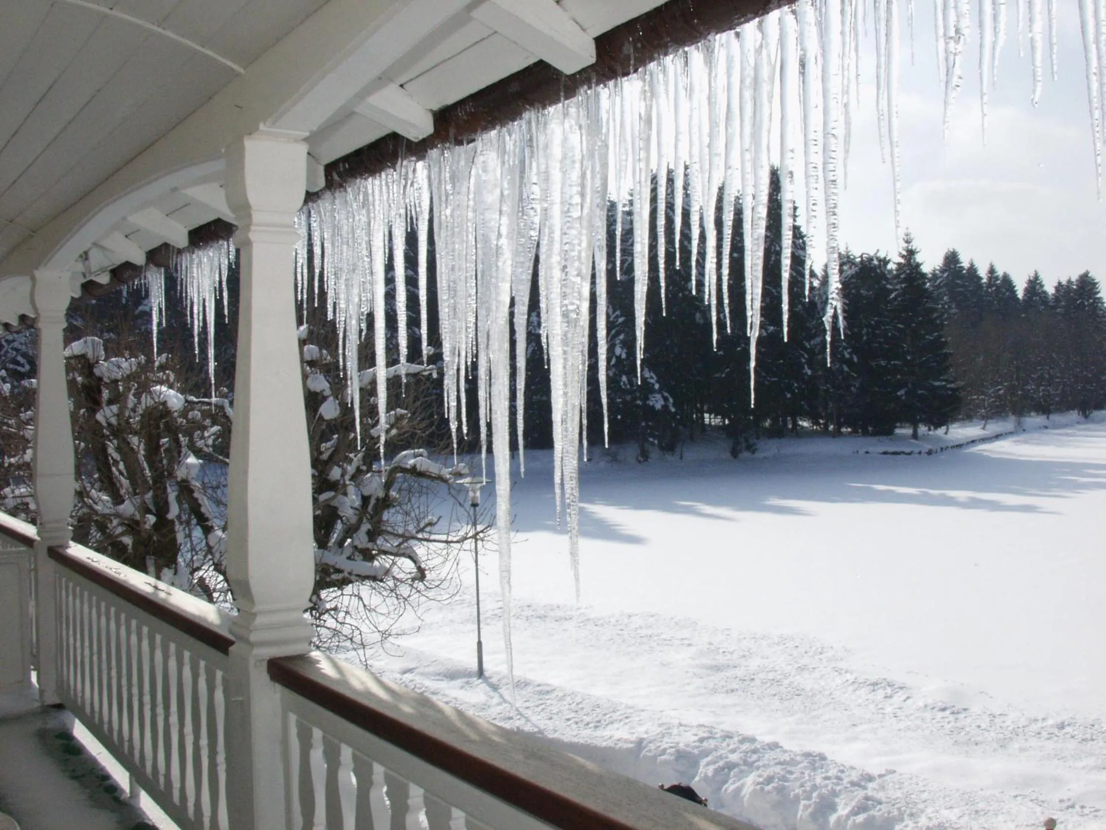View (from property/room) in Hotel Waldsee