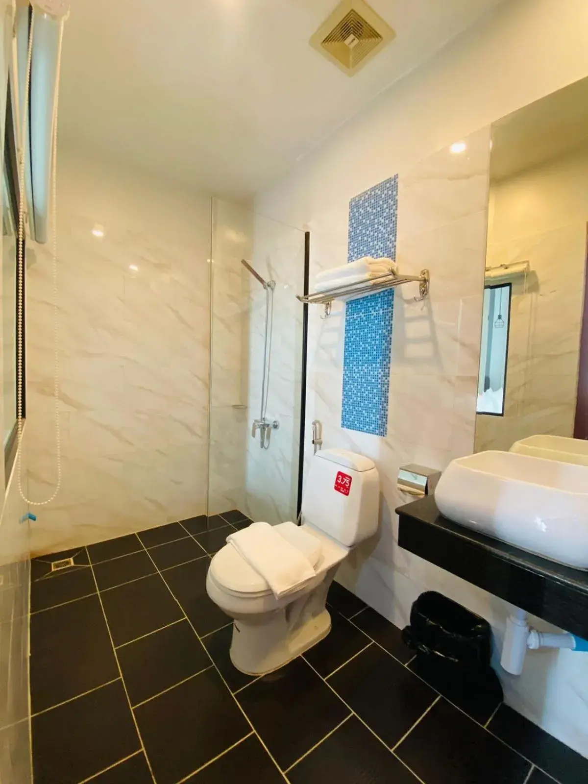 Shower in DE Hotel Shower in DE Hotel