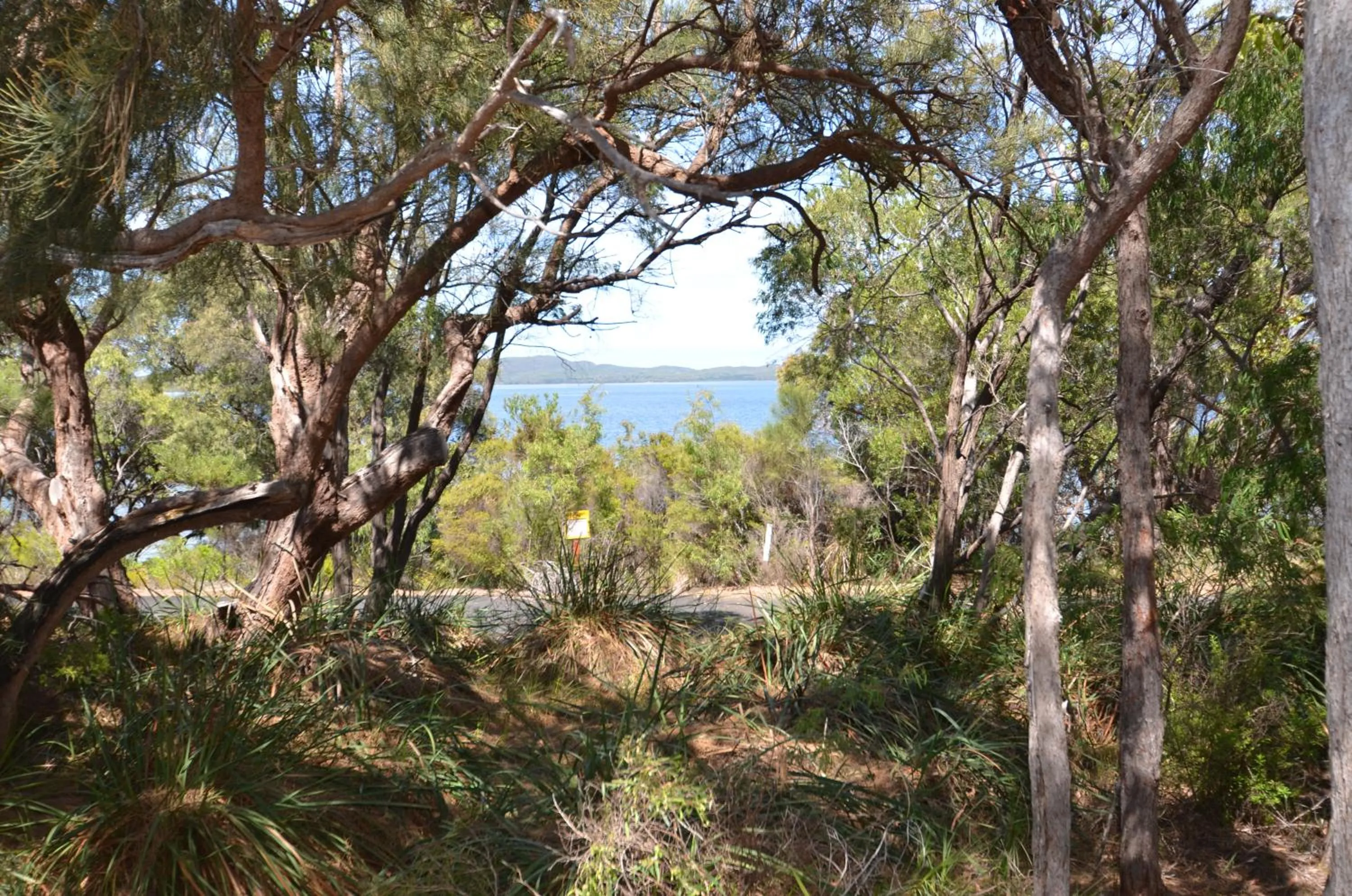 Natural landscape in Coalmine Beach Holiday Park