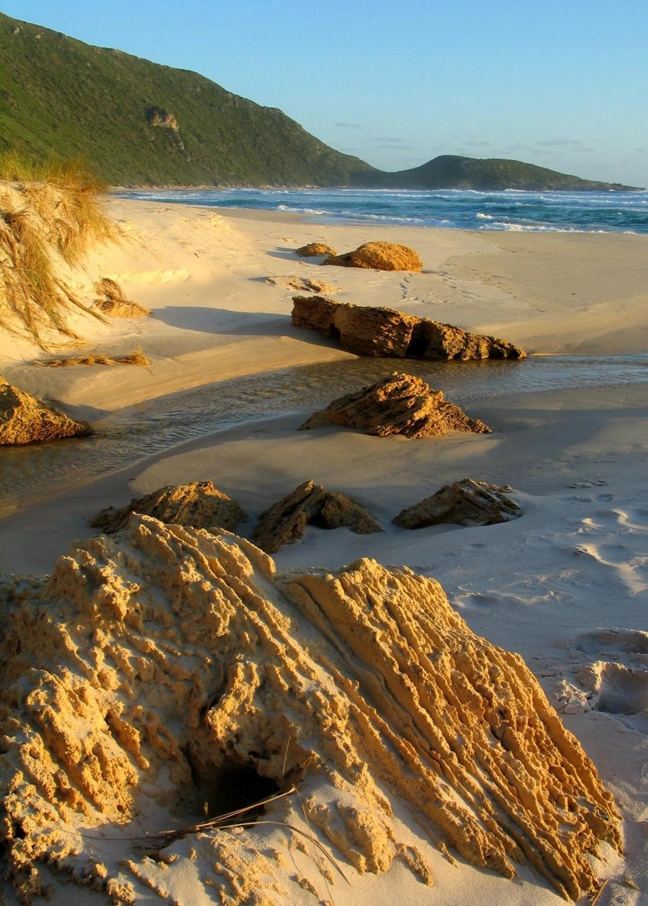 Natural landscape in Coalmine Beach Holiday Park