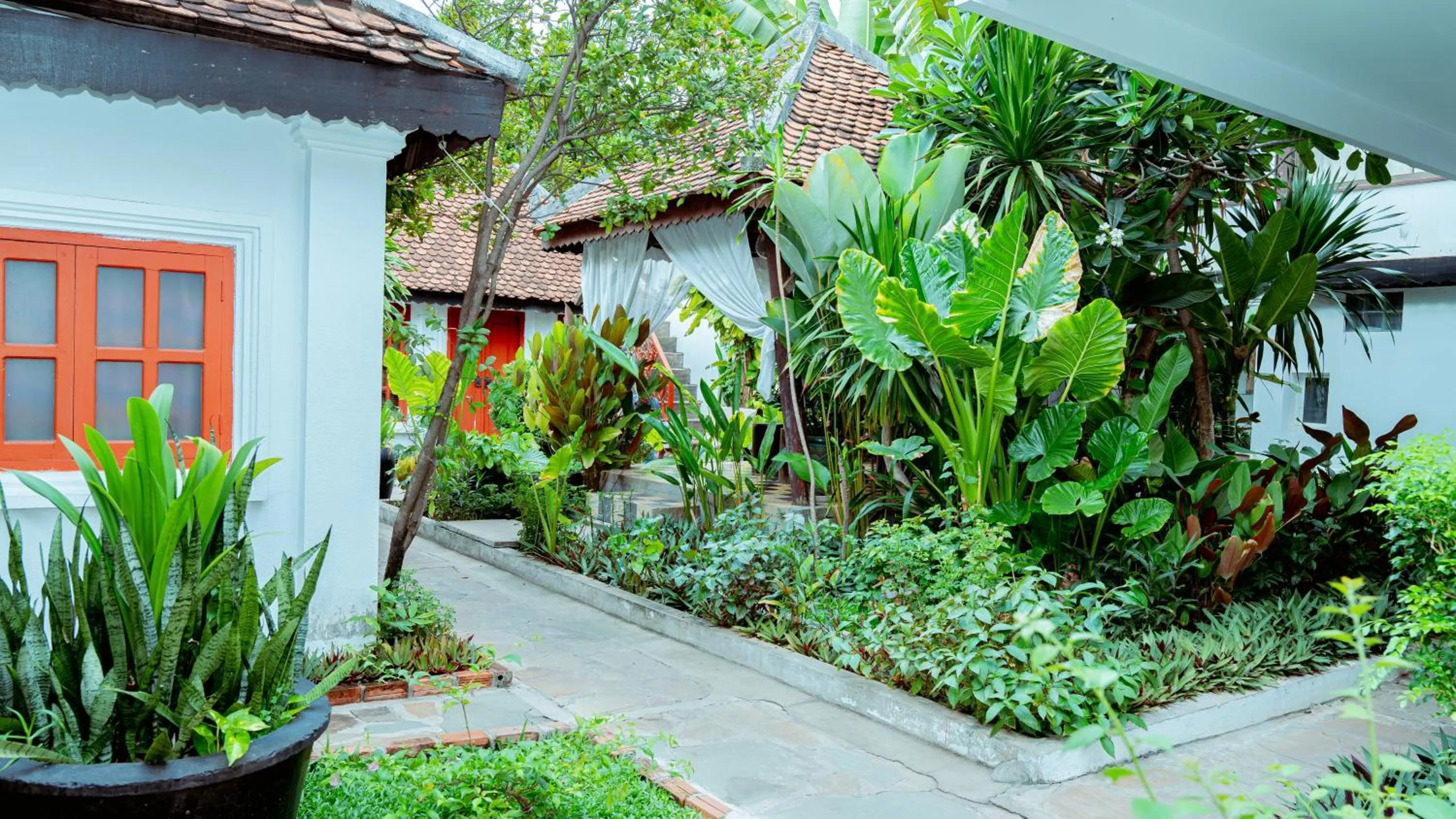 Garden in Villa Wat Damnak