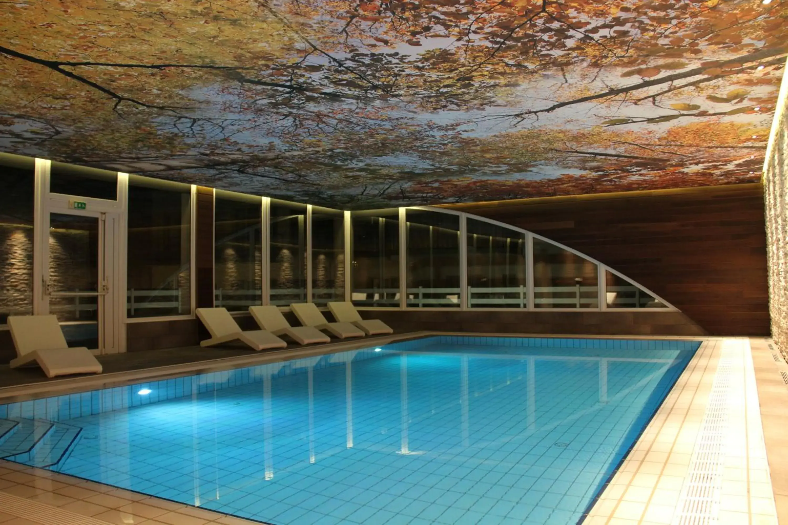 Swimming pool in L'Orée du Bois Swimming pool in L'Orée du Bois