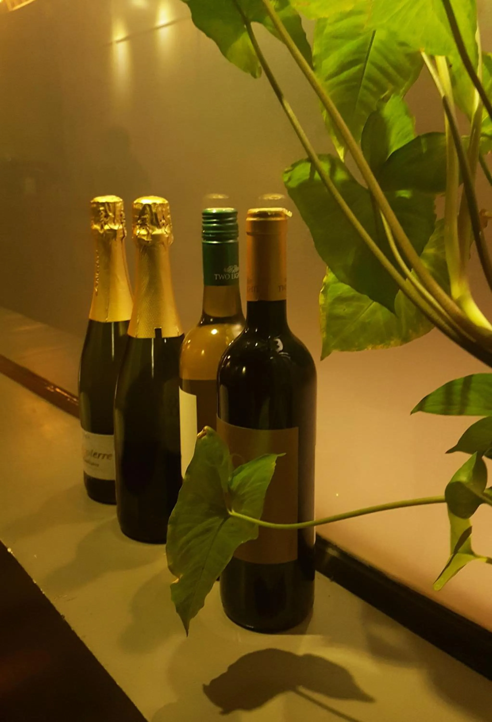 Alcoholic drinks in PAMA Hotel