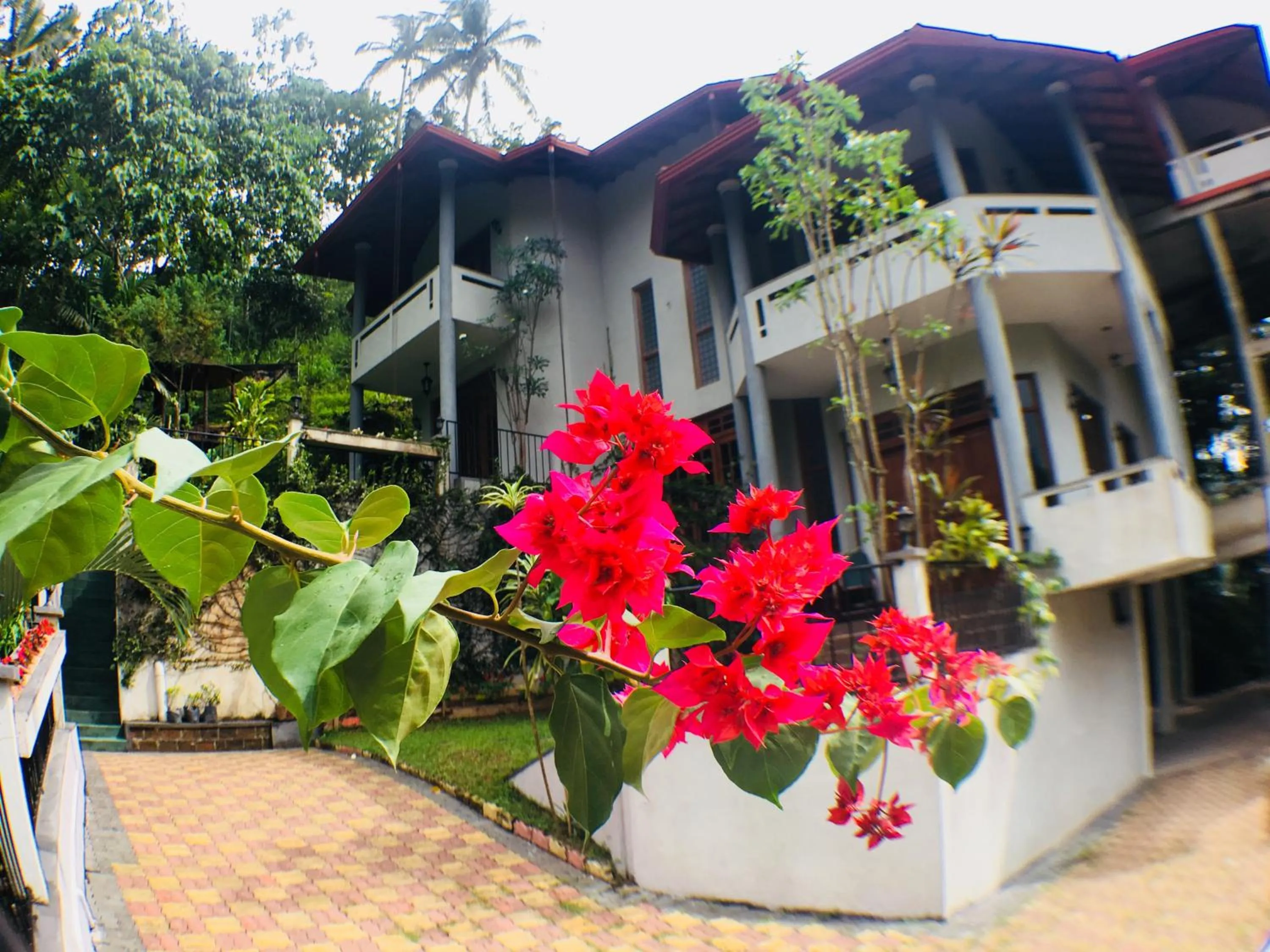Facade/entrance in Villa Familia
