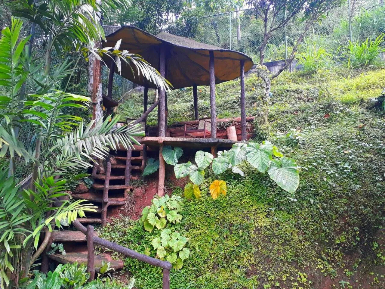 Garden in Villa Familia