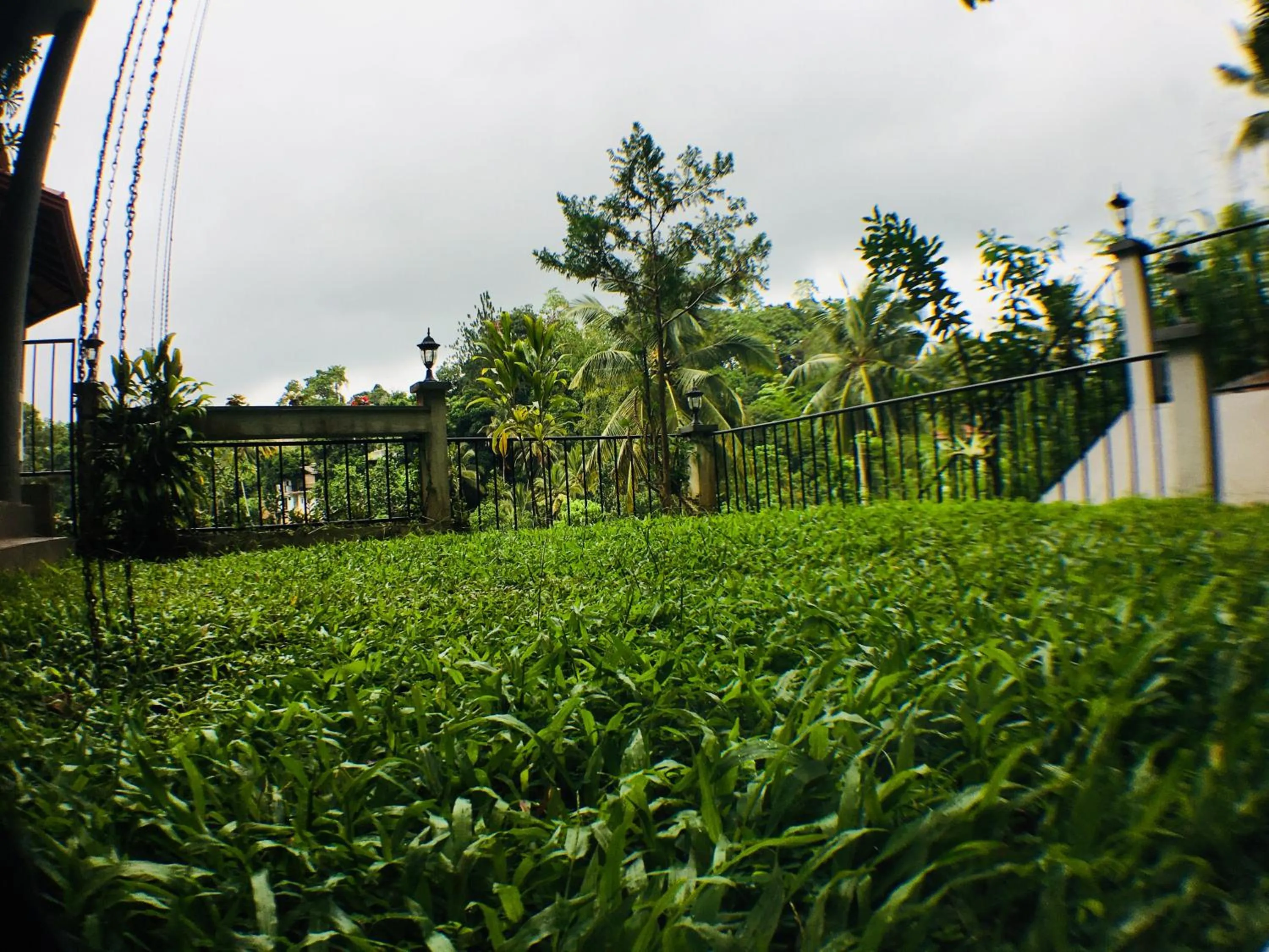 Garden in Villa Familia