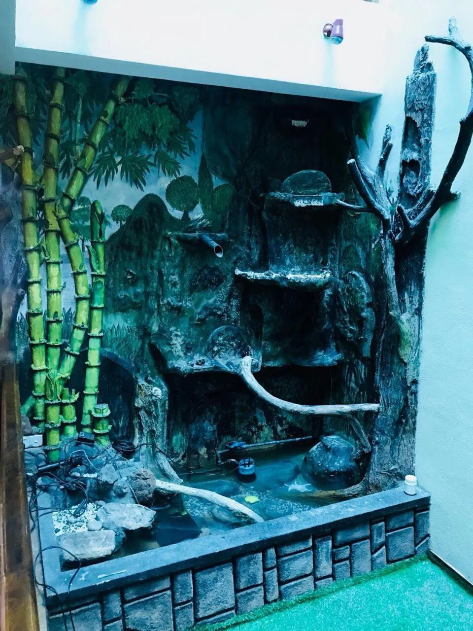 Area and facilities in Villa Familia