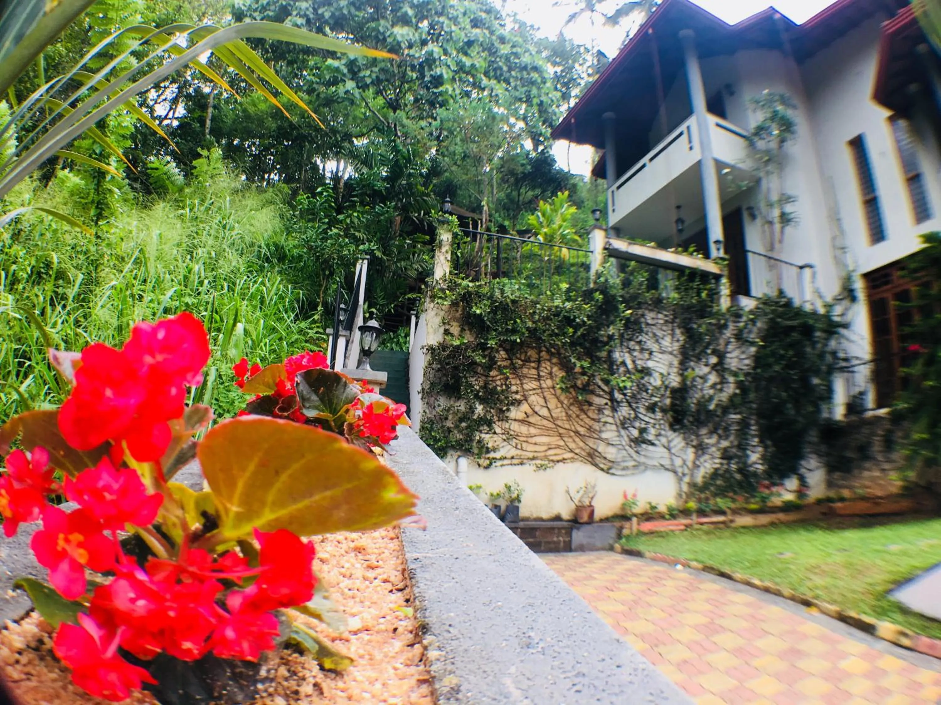 Facade/entrance in Villa Familia