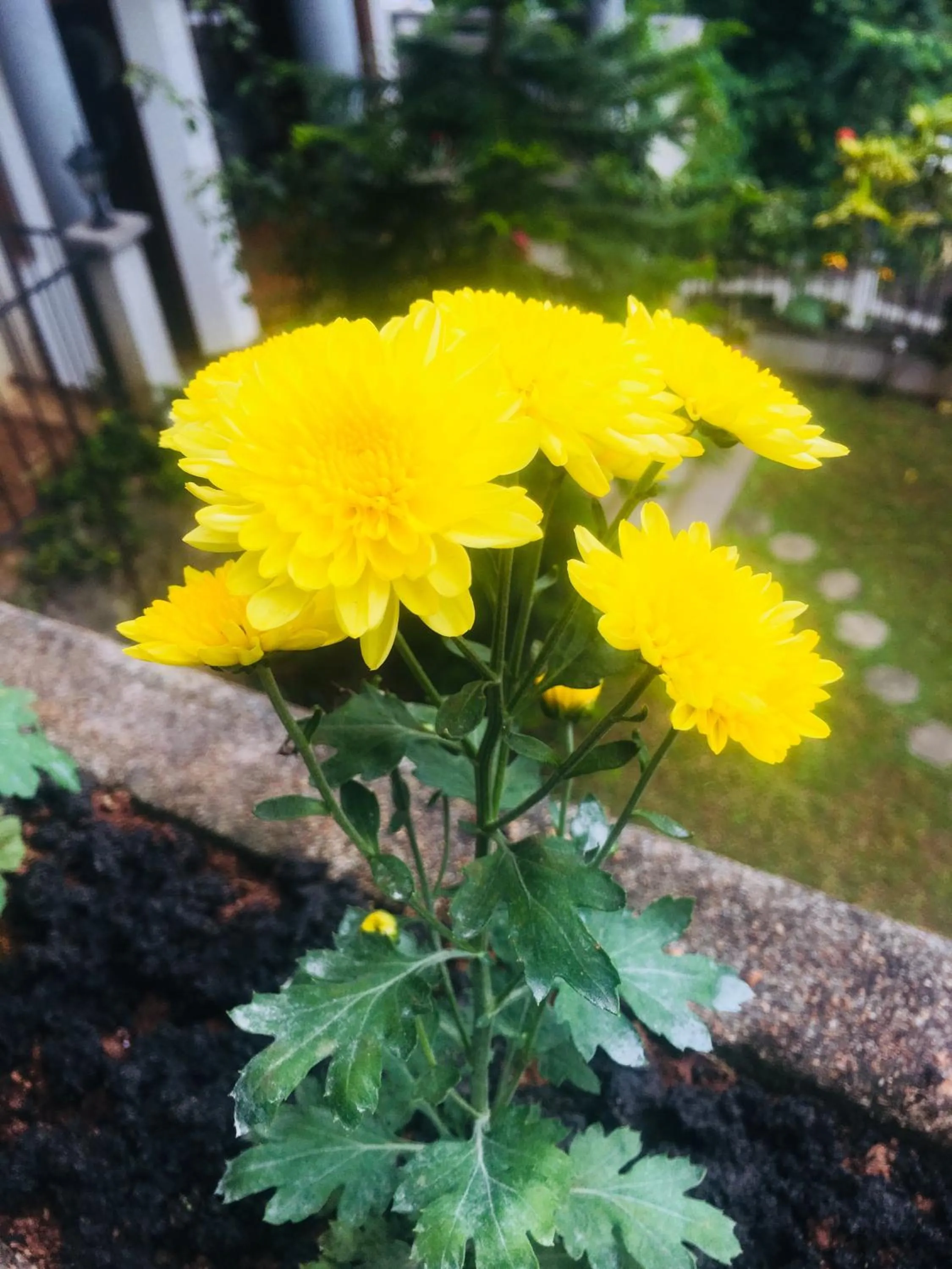 Natural landscape in Villa Familia