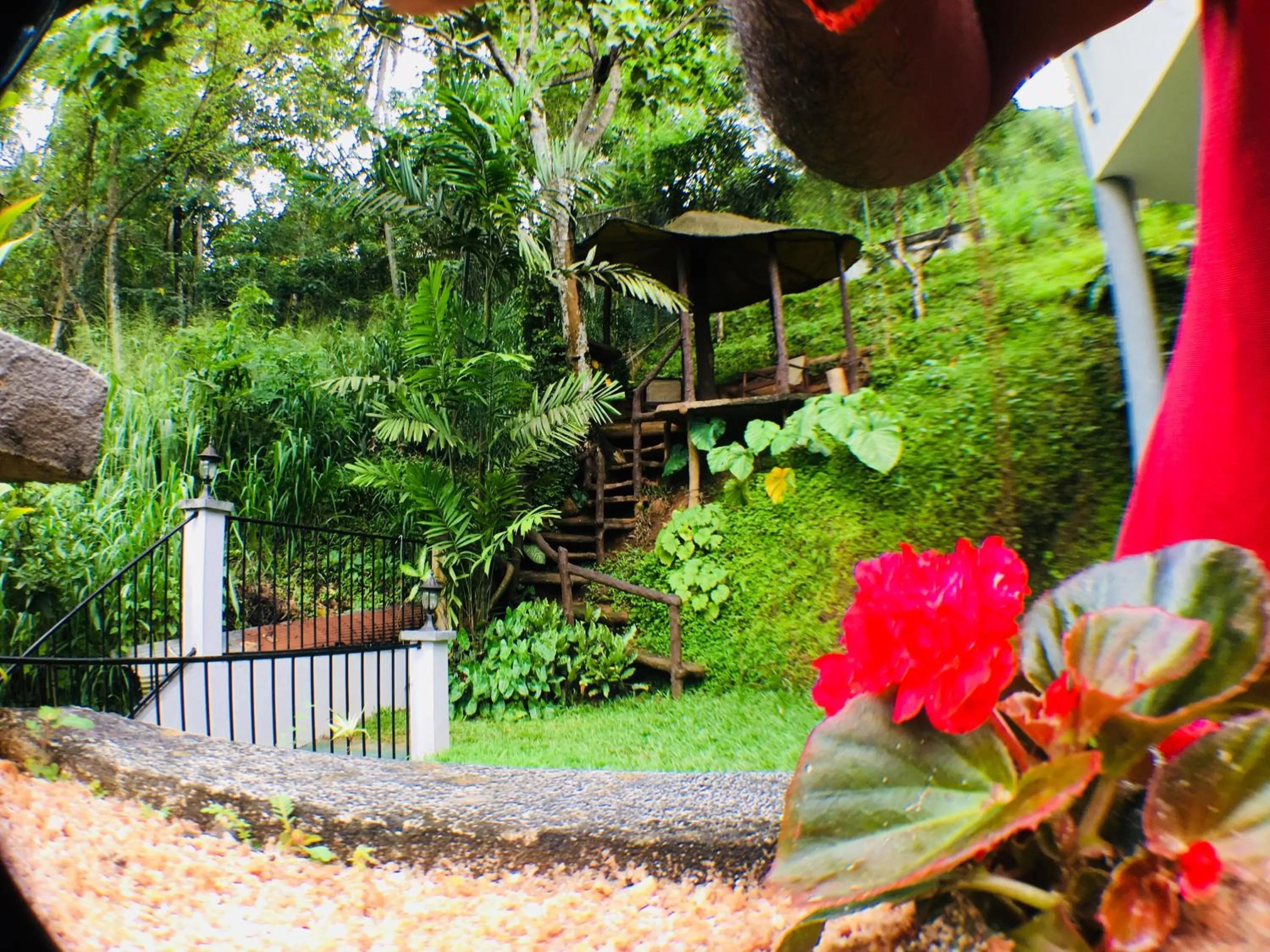 Garden in Villa Familia