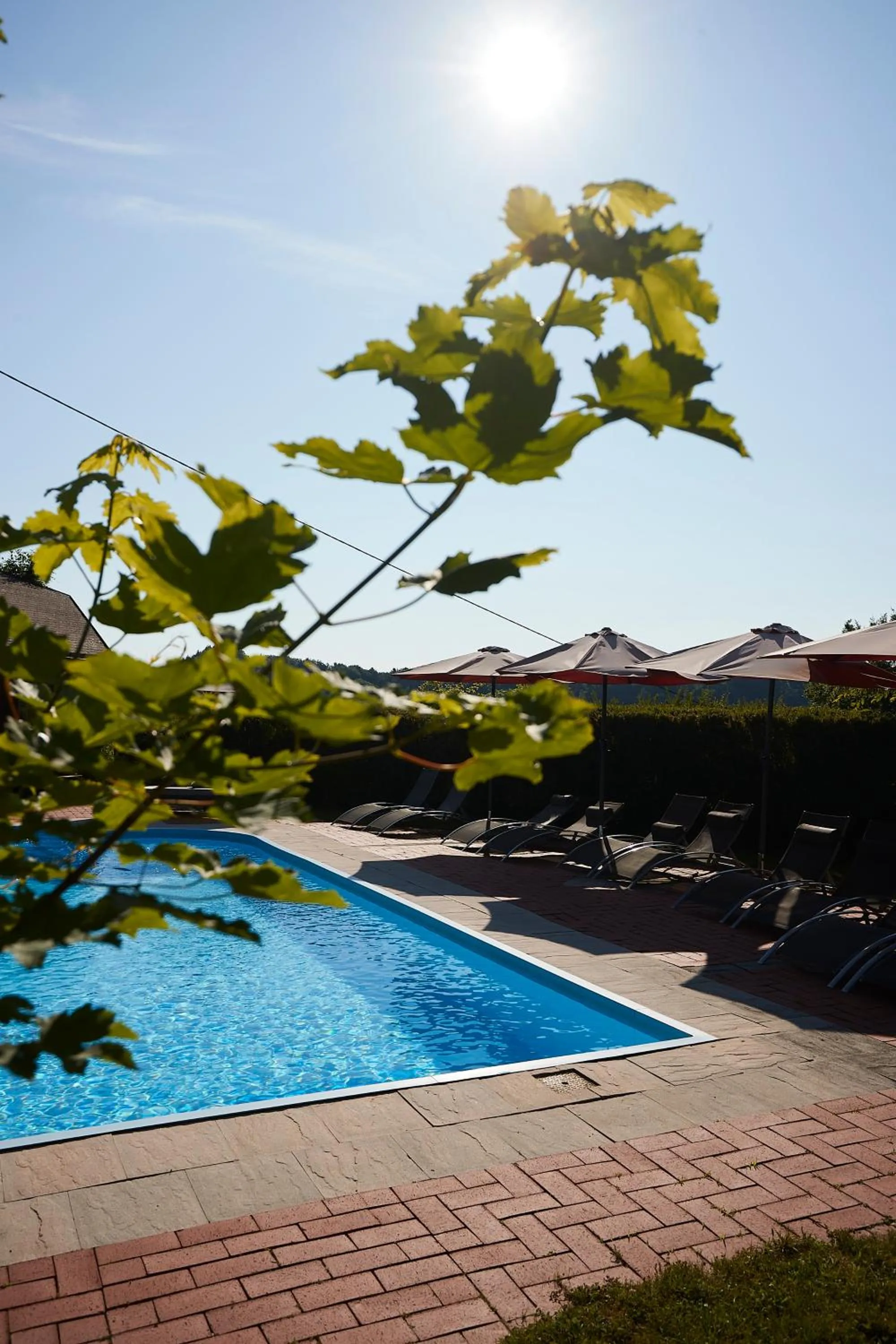Swimming pool in Sattlerhof Genießerhotel & Weingut
