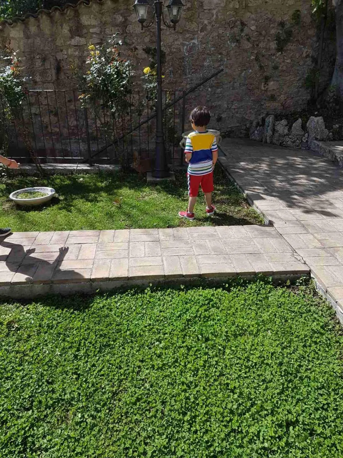 Garden in Palazzo Moraschi Subiaco