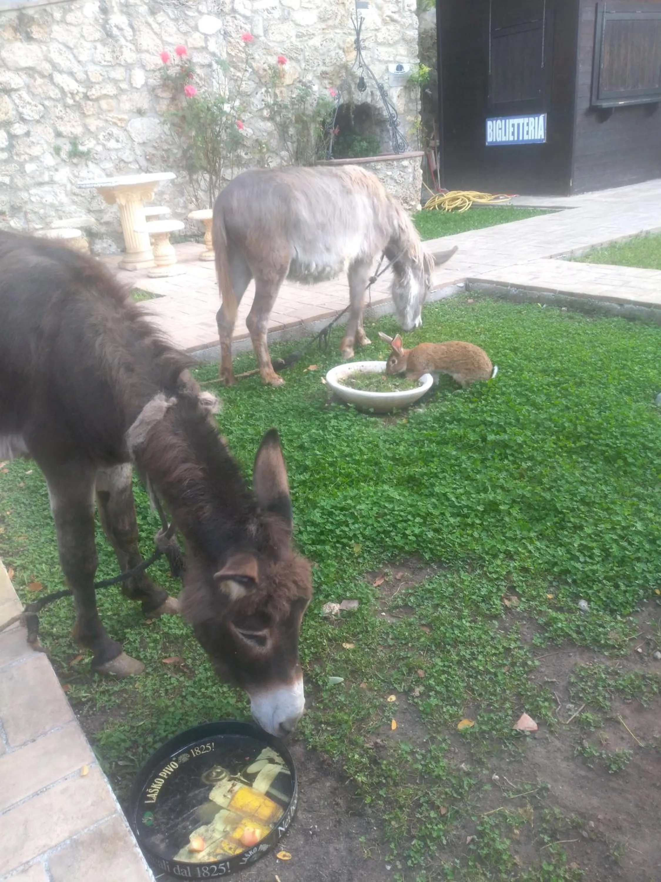 Garden in Palazzo Moraschi Subiaco
