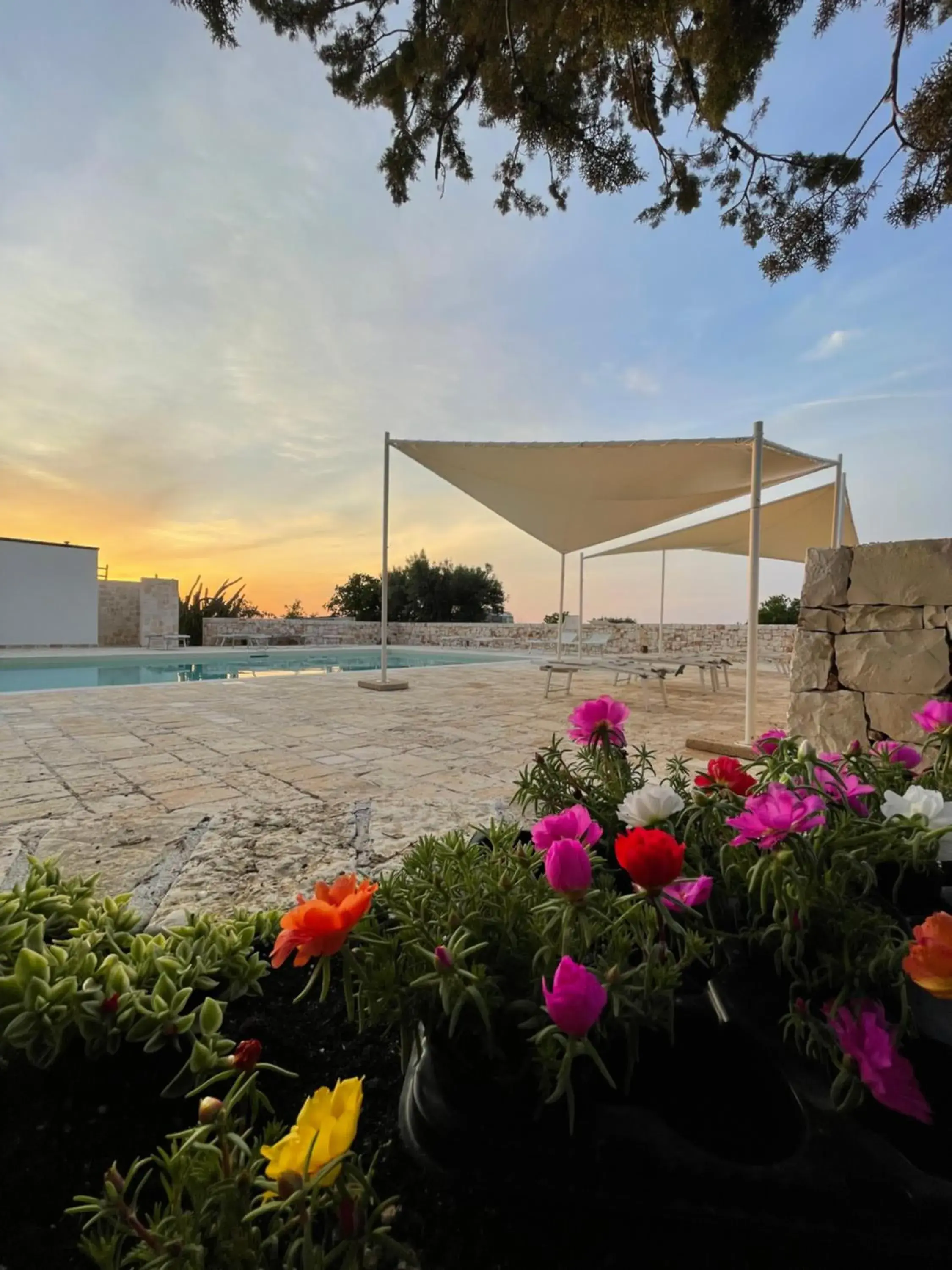 Masseria Fanizzi Masseria Fanizzi