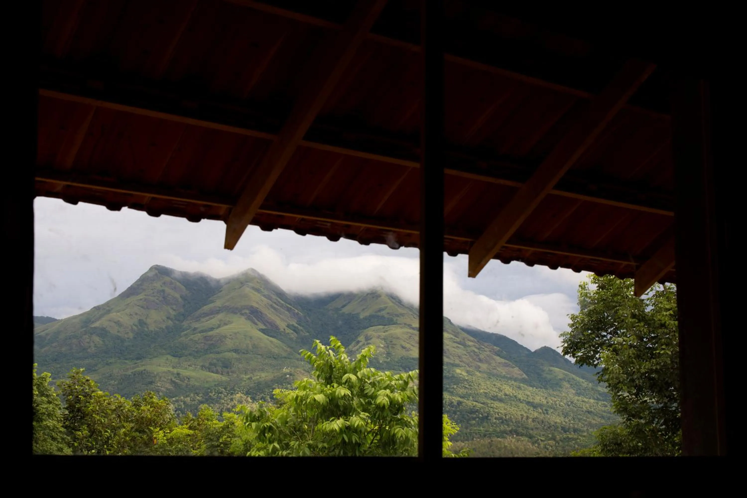 View (from property/room) in Rock Haven Wayanad