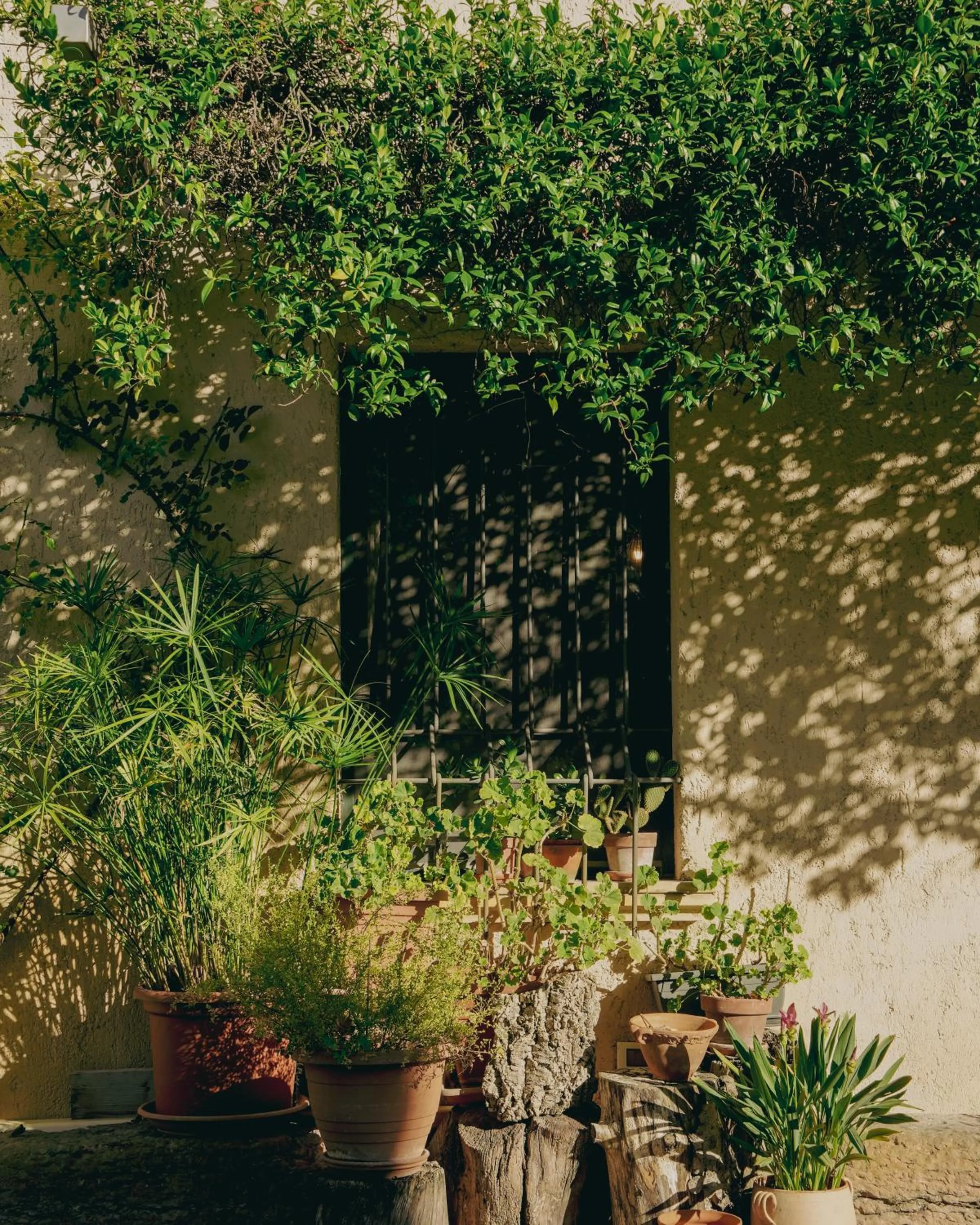 Spring in Corte Vallio