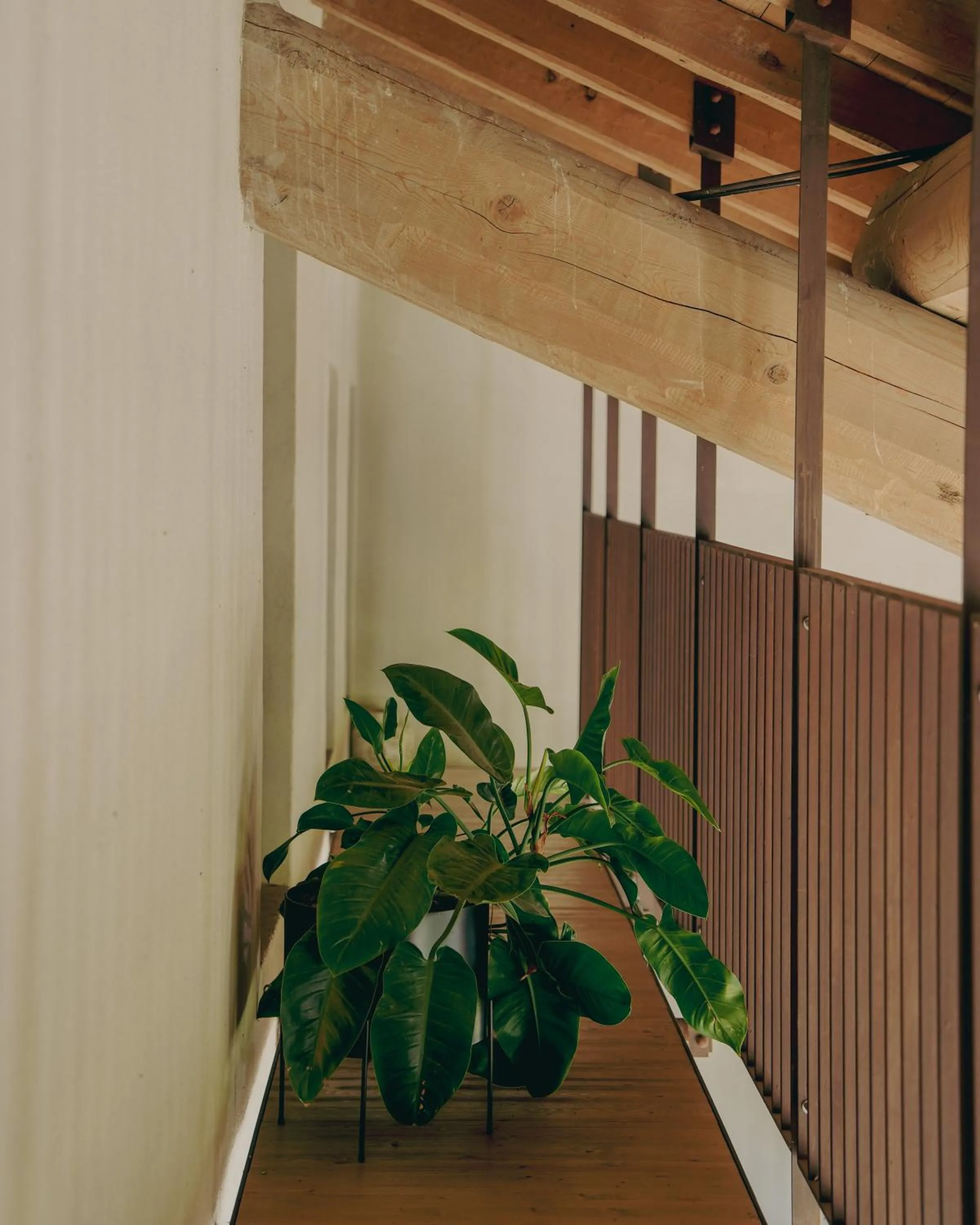 Decorative detail in Corte Vallio