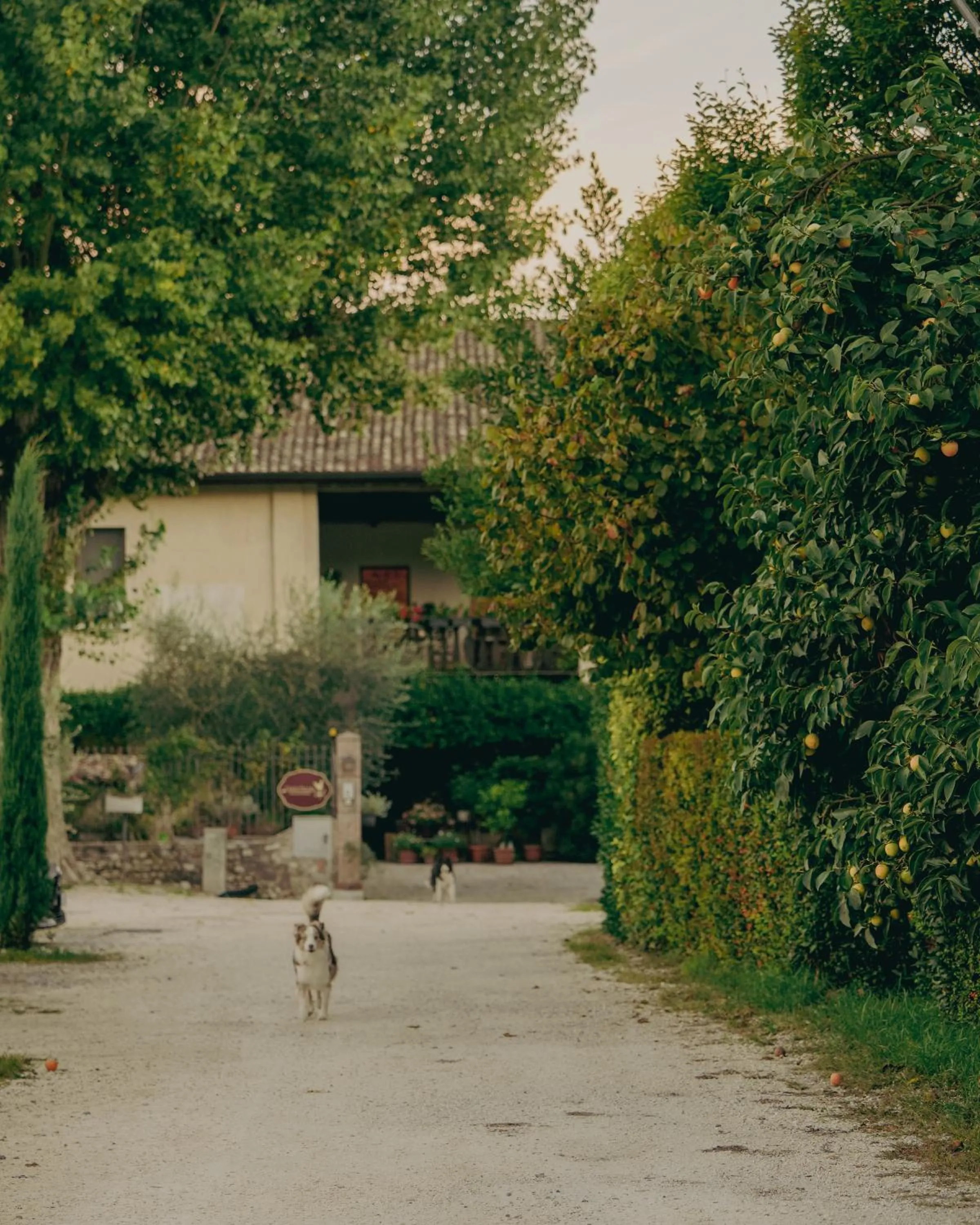 Property building in Corte Vallio