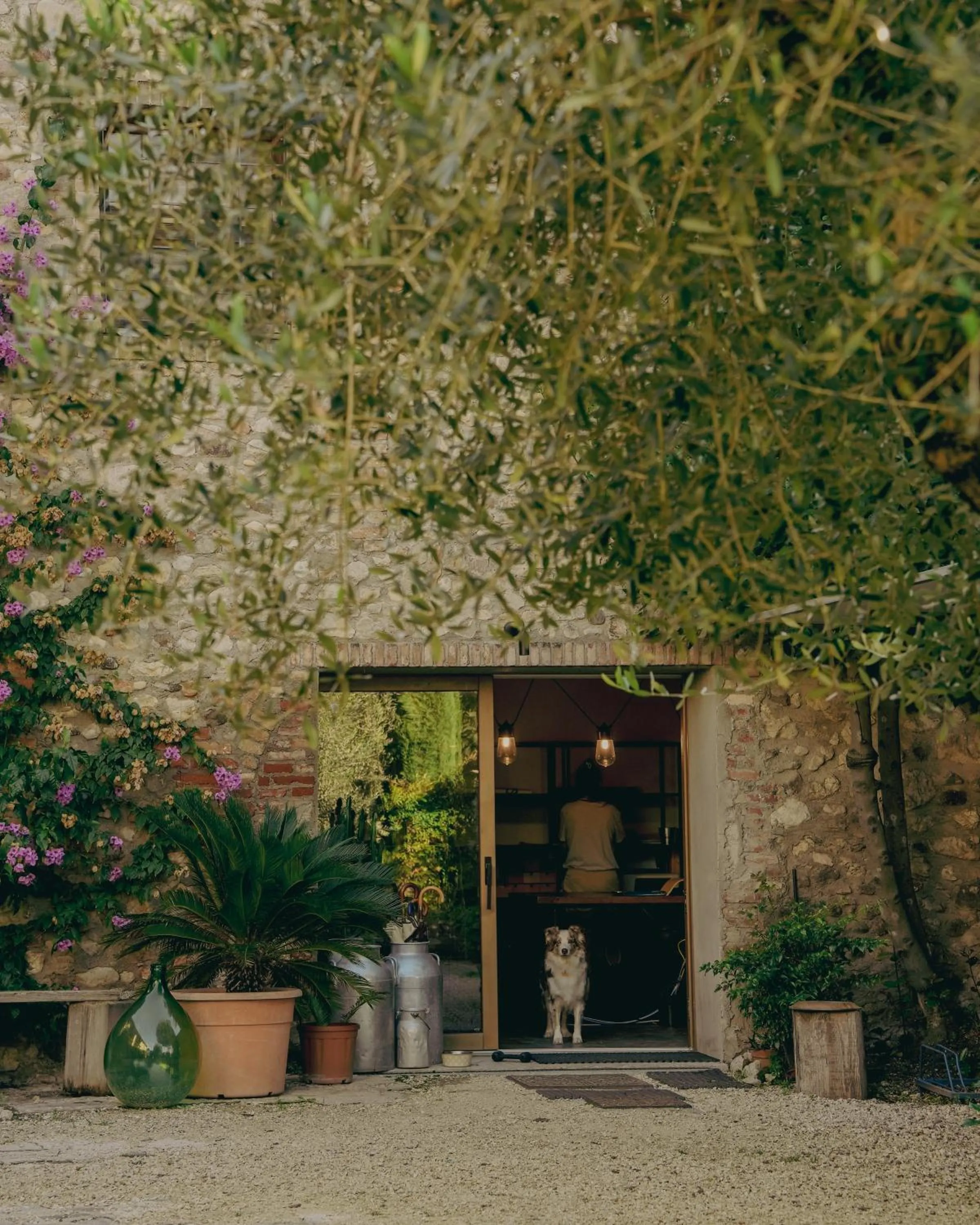 Property building in Corte Vallio