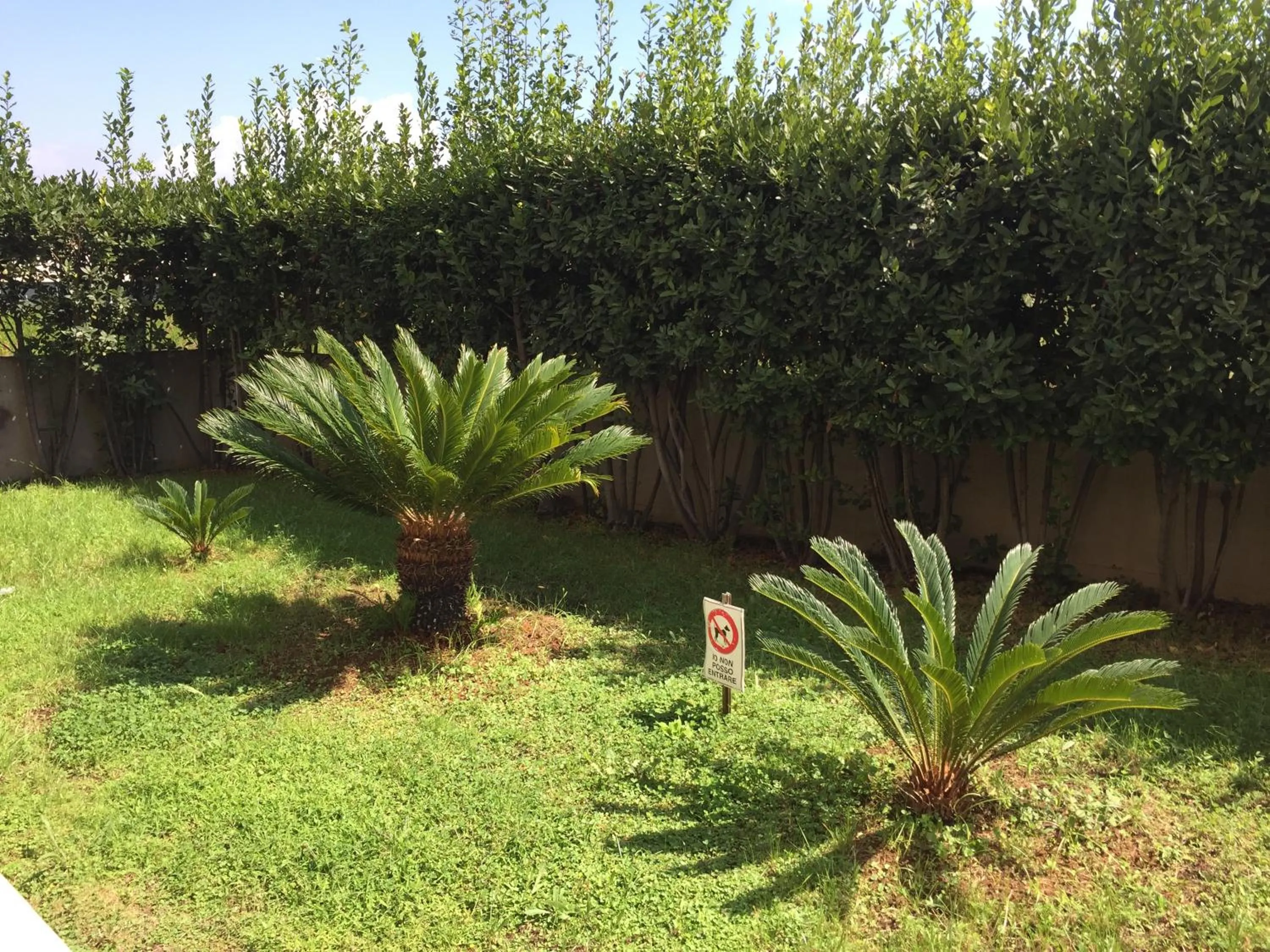 Garden in Salieri Apartment