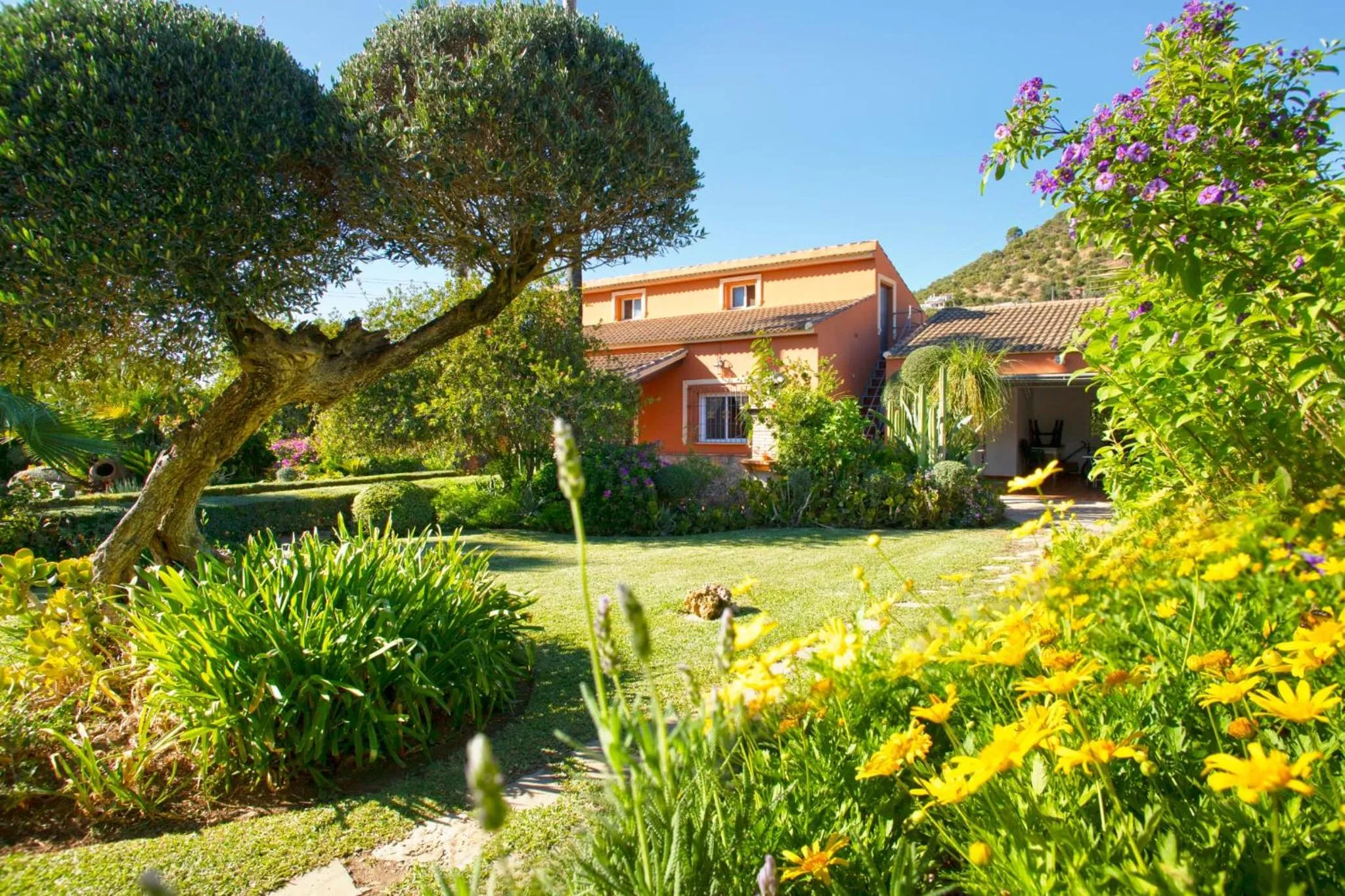Garden view in Casa Rural Los Niños