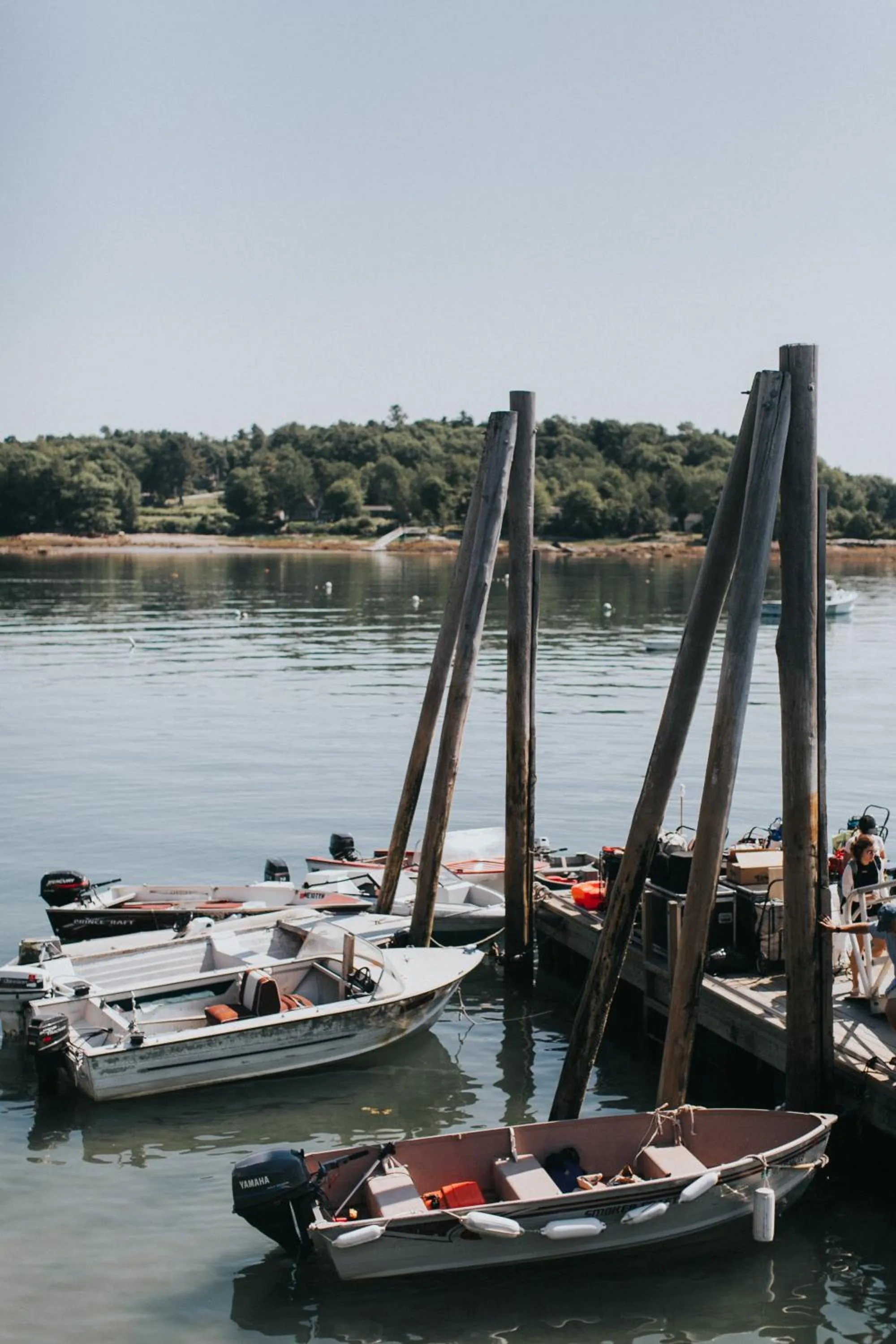 Area and facilities in Chebeague Island Inn