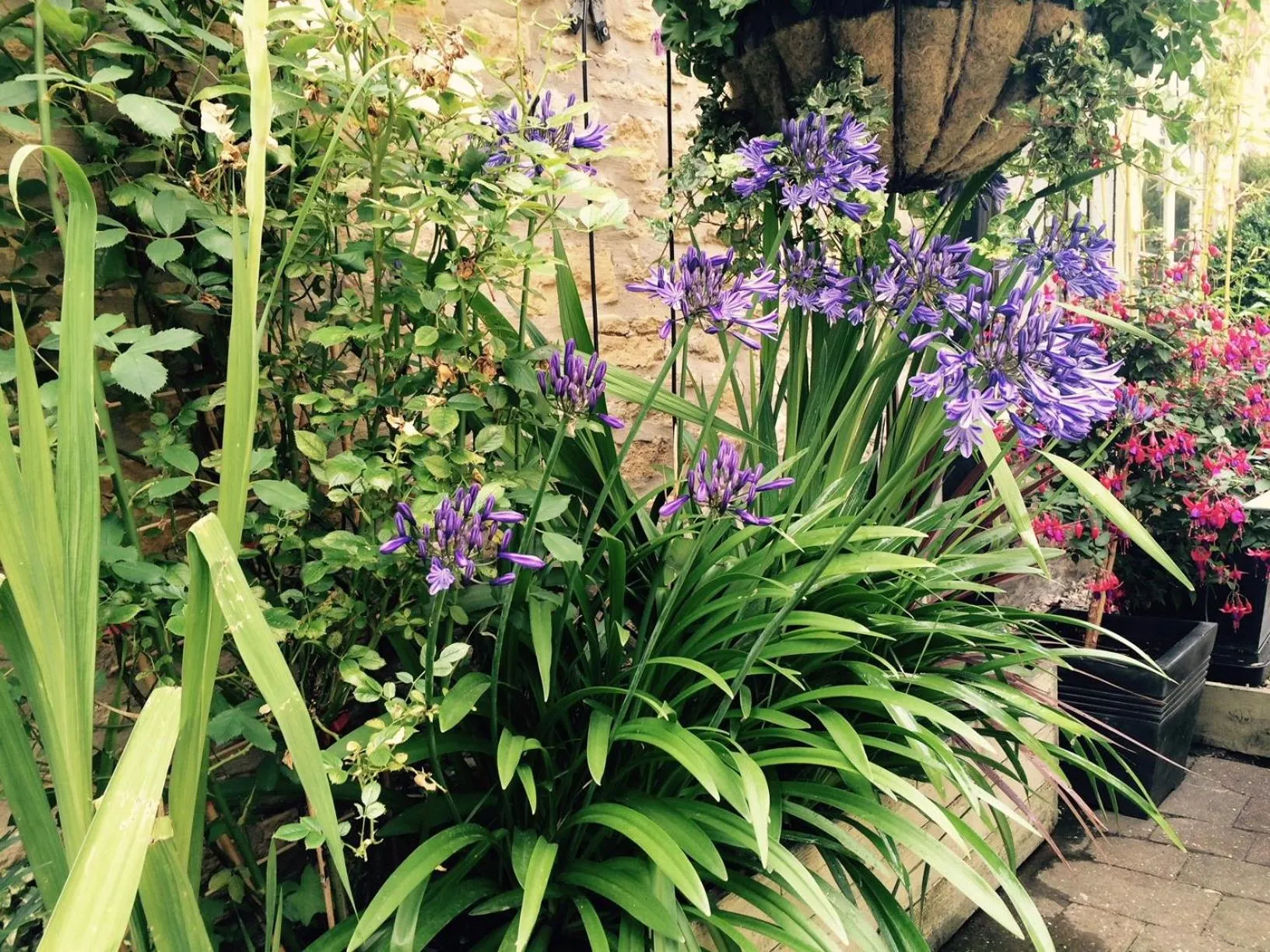 Garden in The Ormond At Tetbury