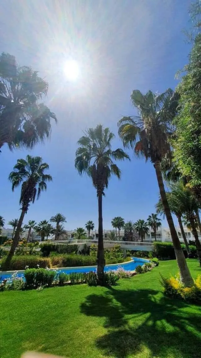 Natural landscape in Monte Carlo Sharm Resort & Spa