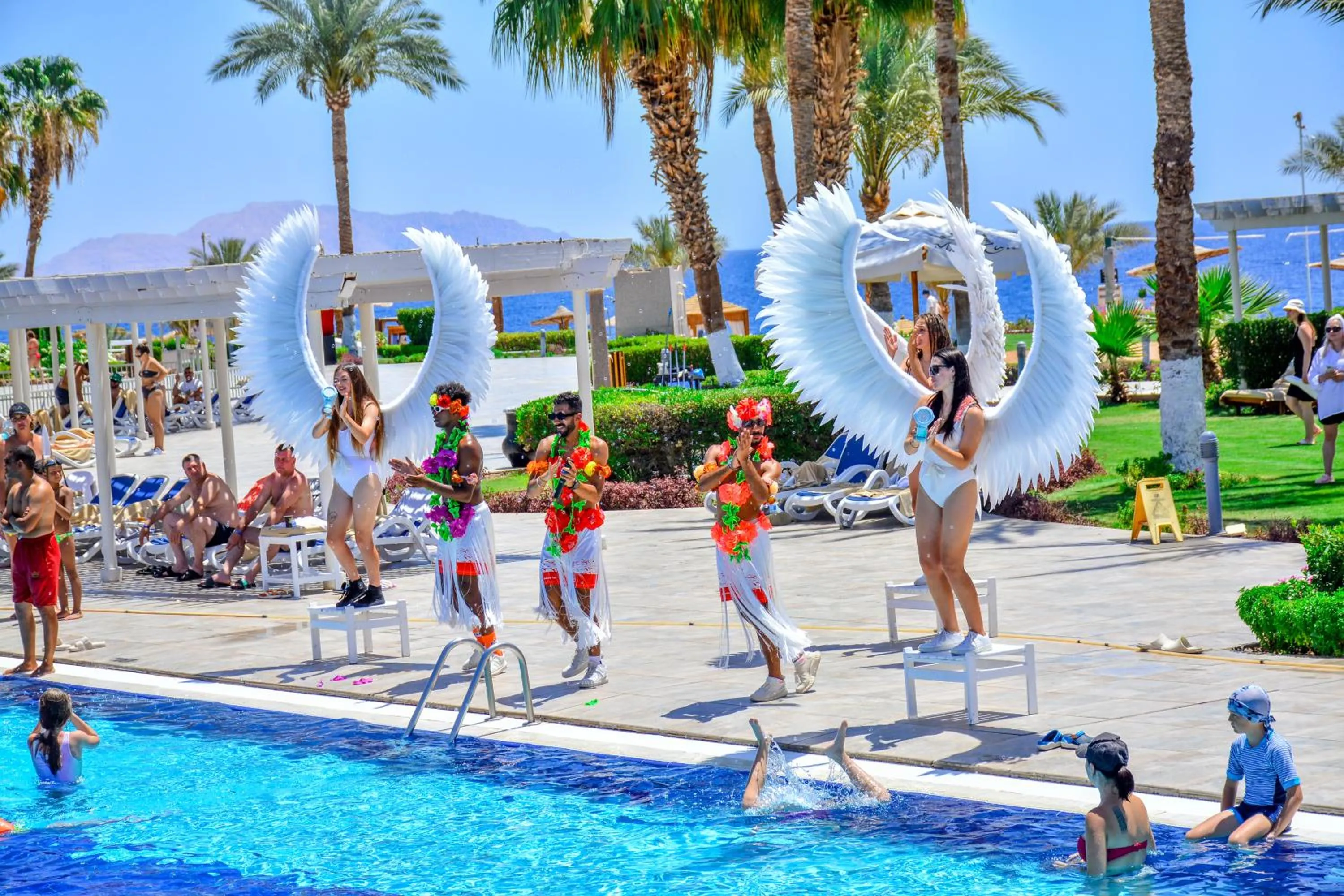Entertainment in Monte Carlo Sharm Resort & Spa