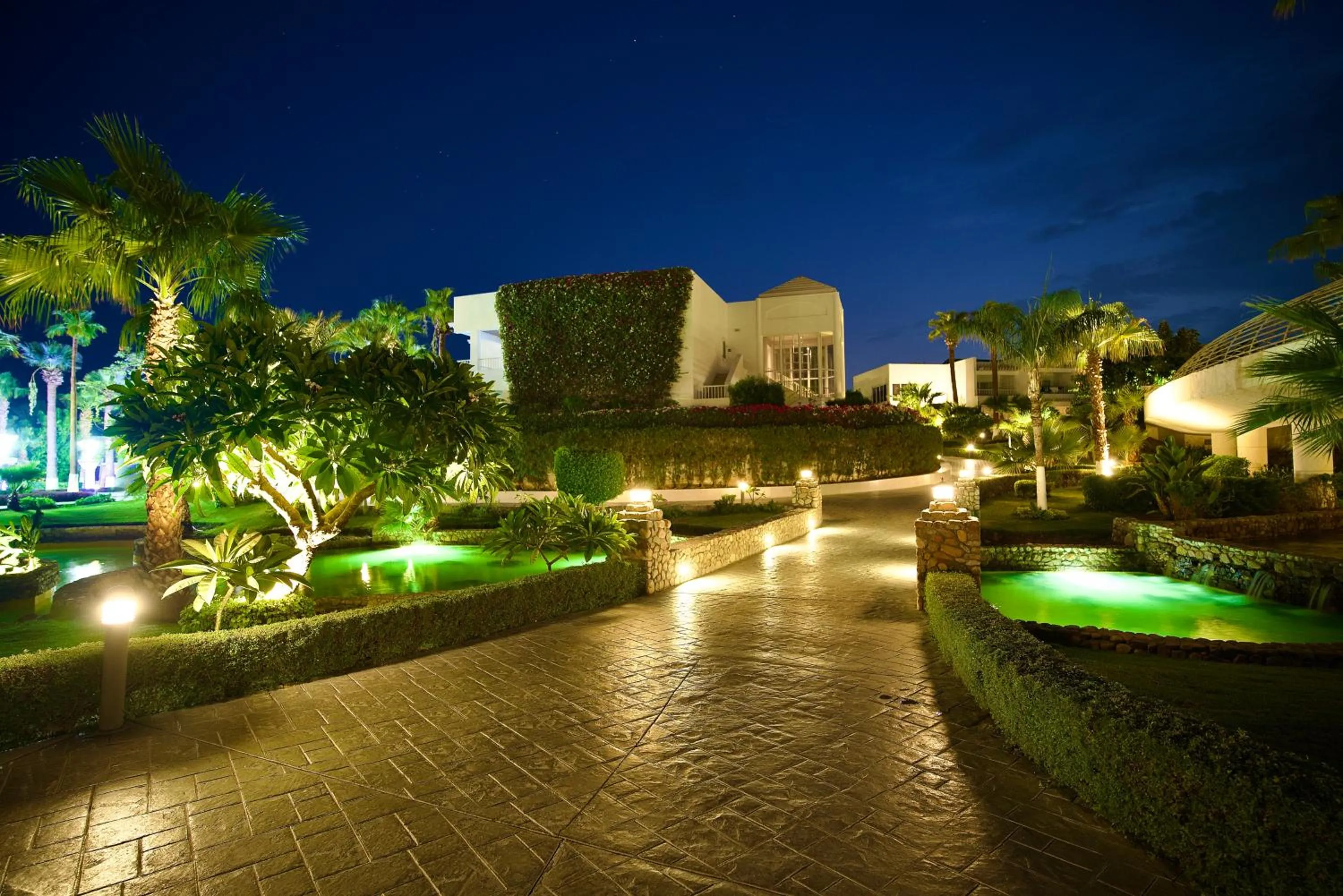 Night in Monte Carlo Sharm Resort & Spa