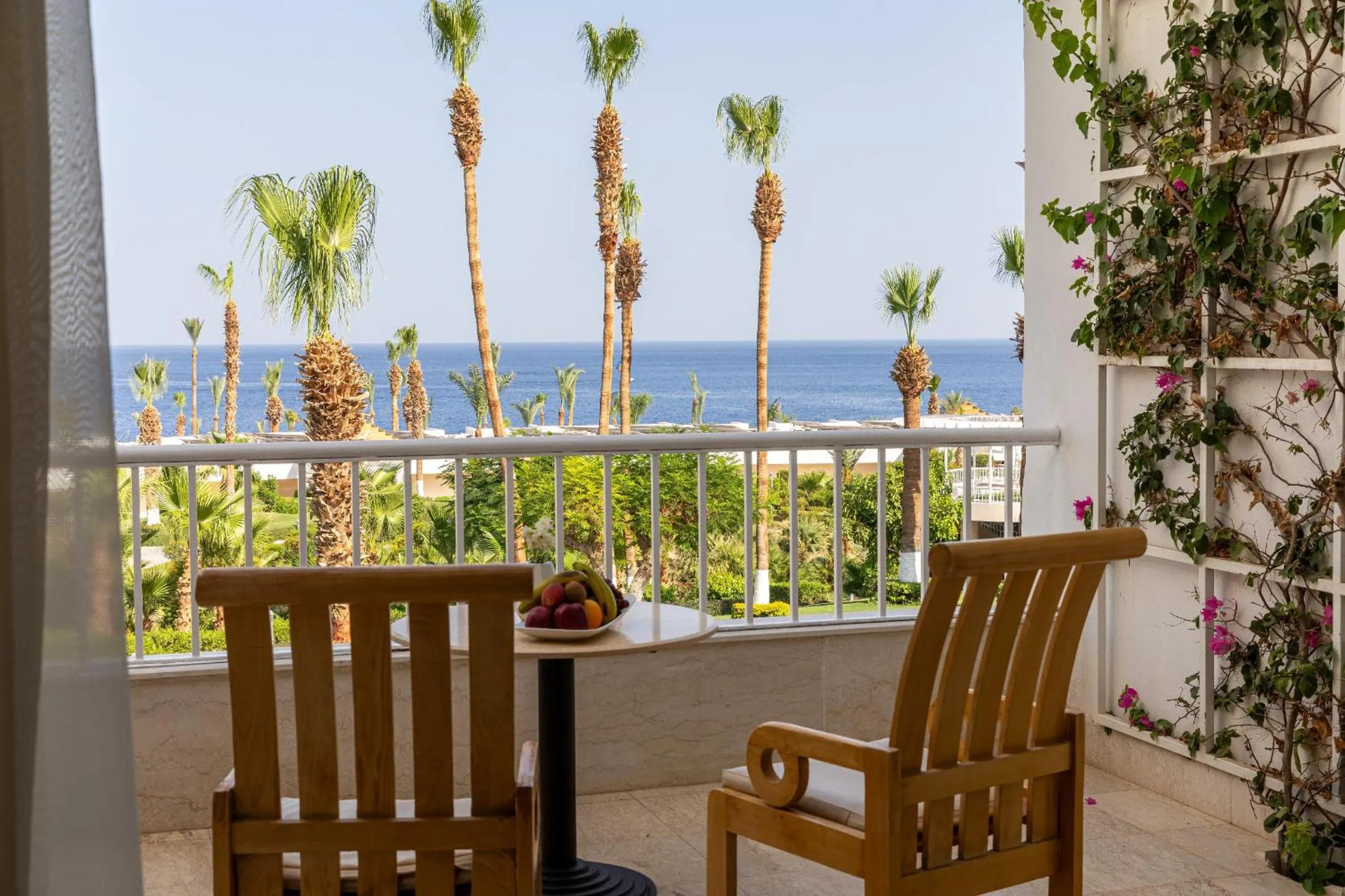 View (from property/room) in Monte Carlo Sharm Resort & Spa