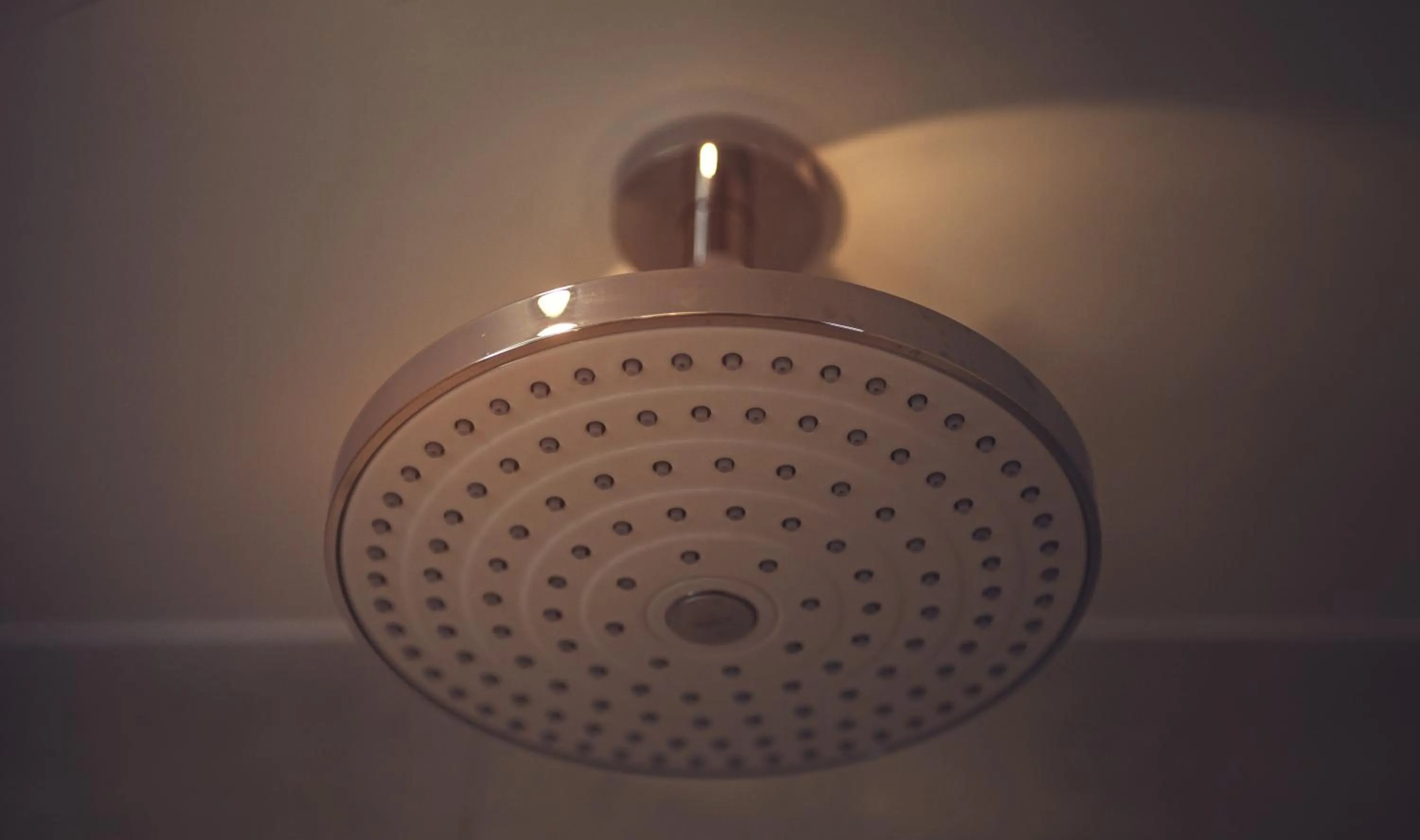 Other in Best Western Plus Delmere Hotel