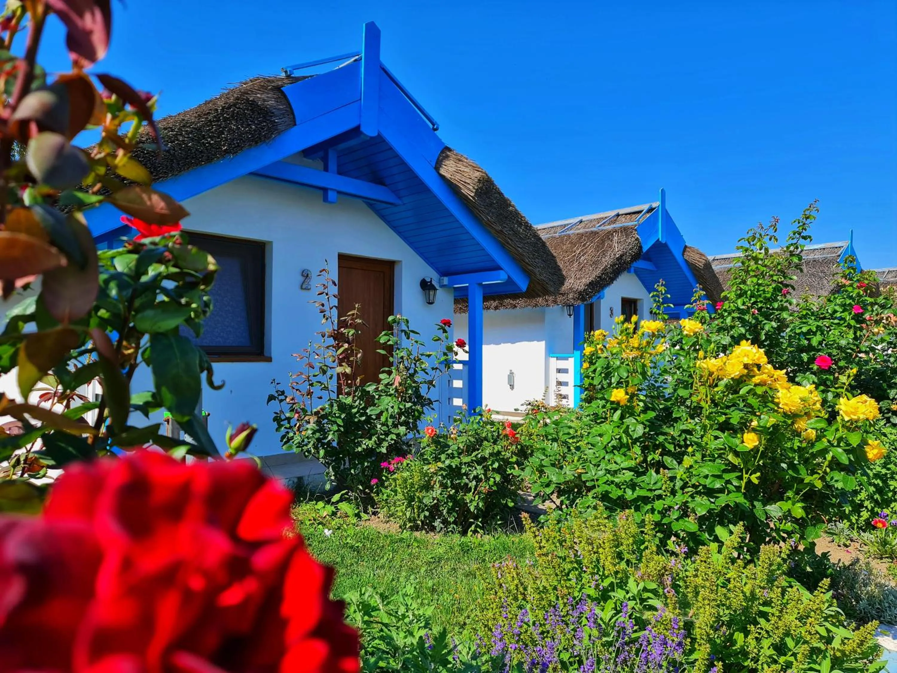 View (from property/room) in Casa Pescarilor